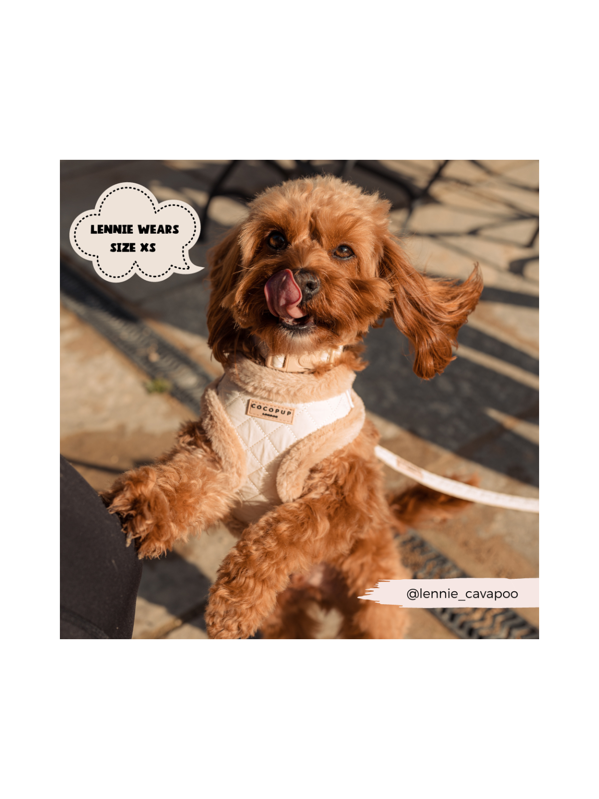 Quilted Adjustable Neck Harness - Cream