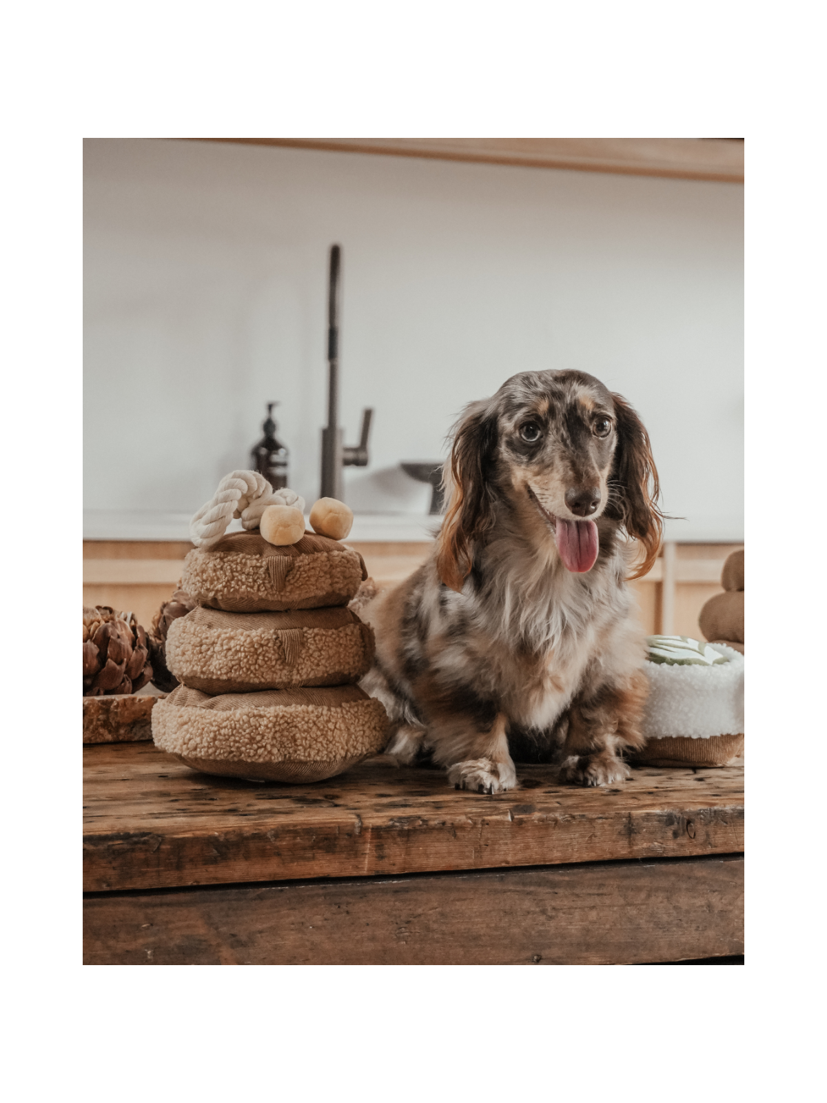 Maple Pancake Stack Interactive Dog Toy