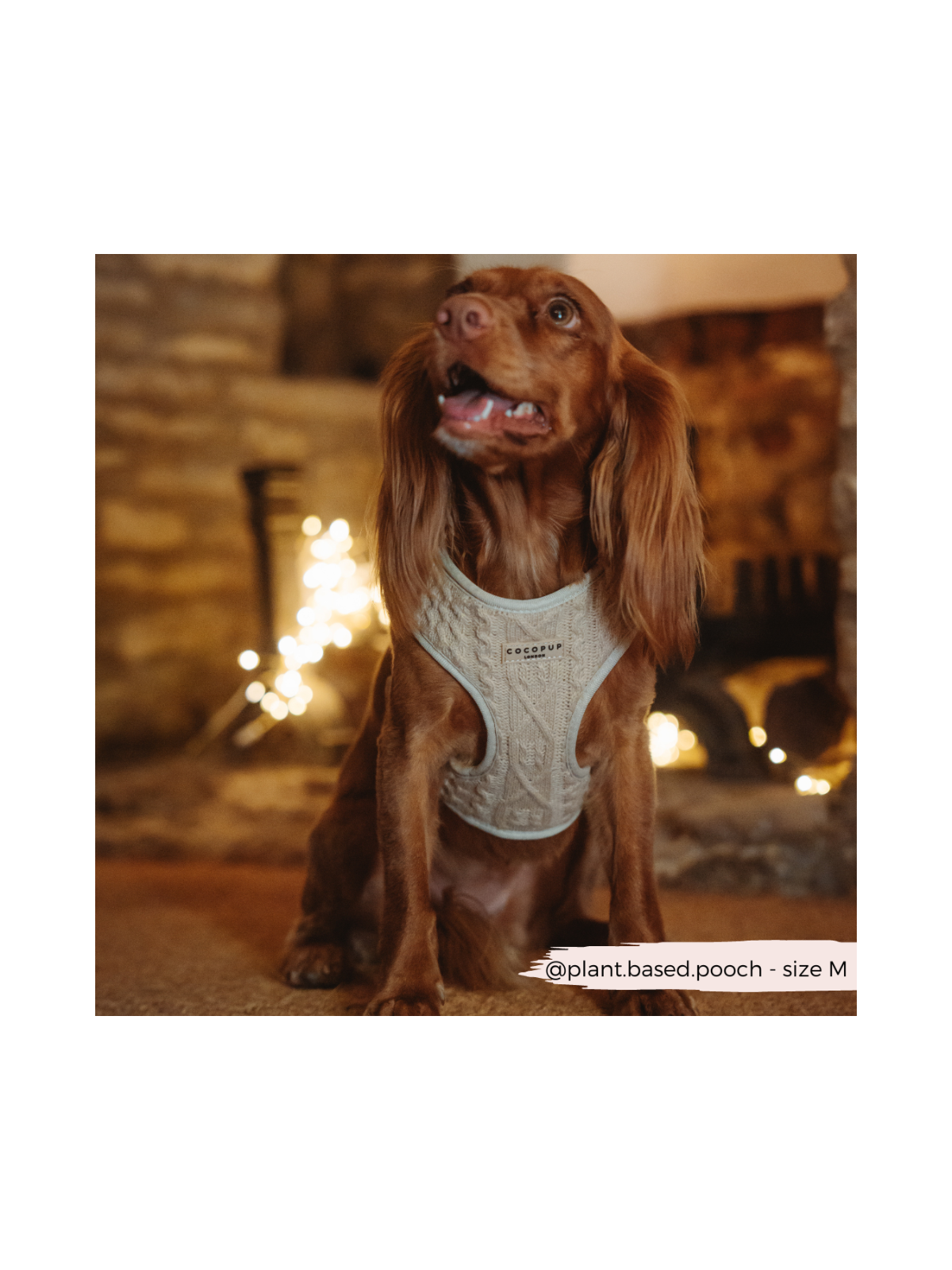 Cable Knit Jumper Adjustable Neck Harness - Toffee Beige