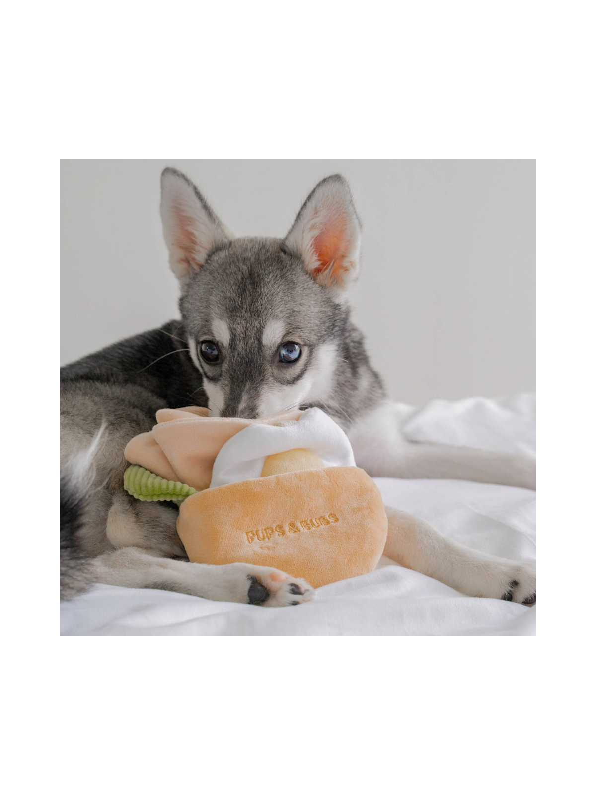 Pita Pocket Nosework Toy