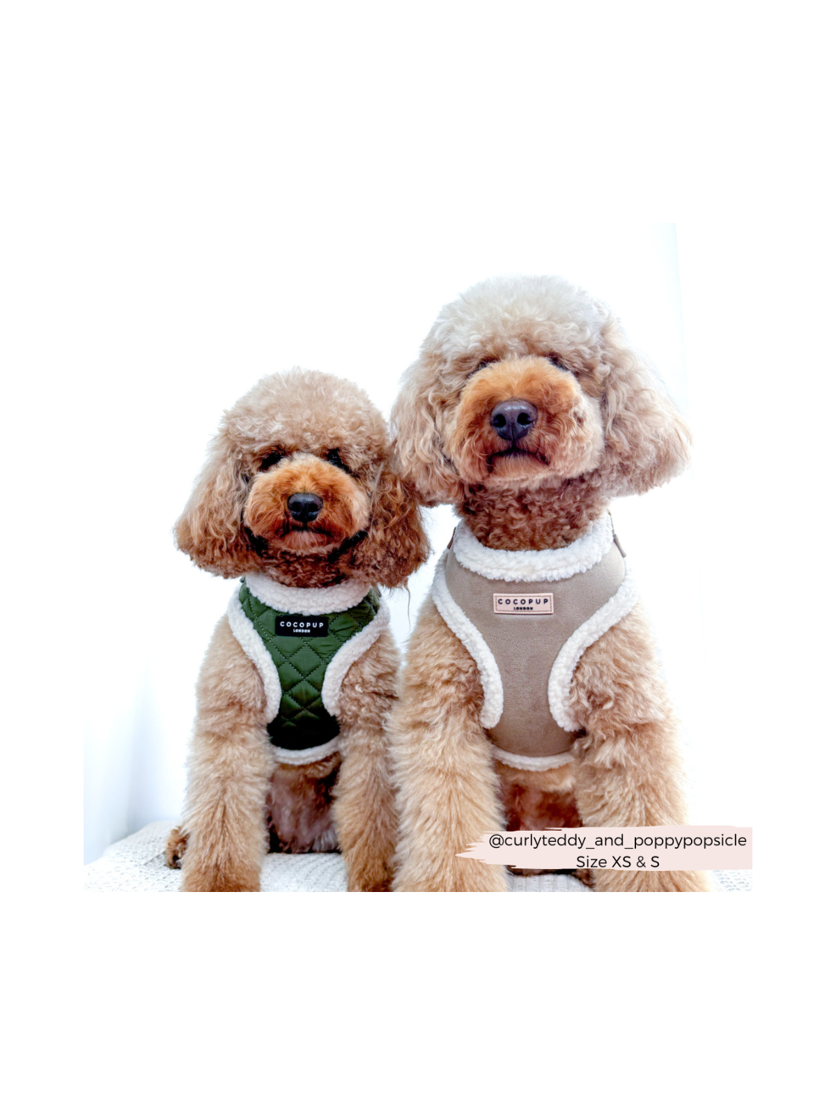 Nude Aviator Adjustable Neck Harness – Faux Suede with Fluffy Trim