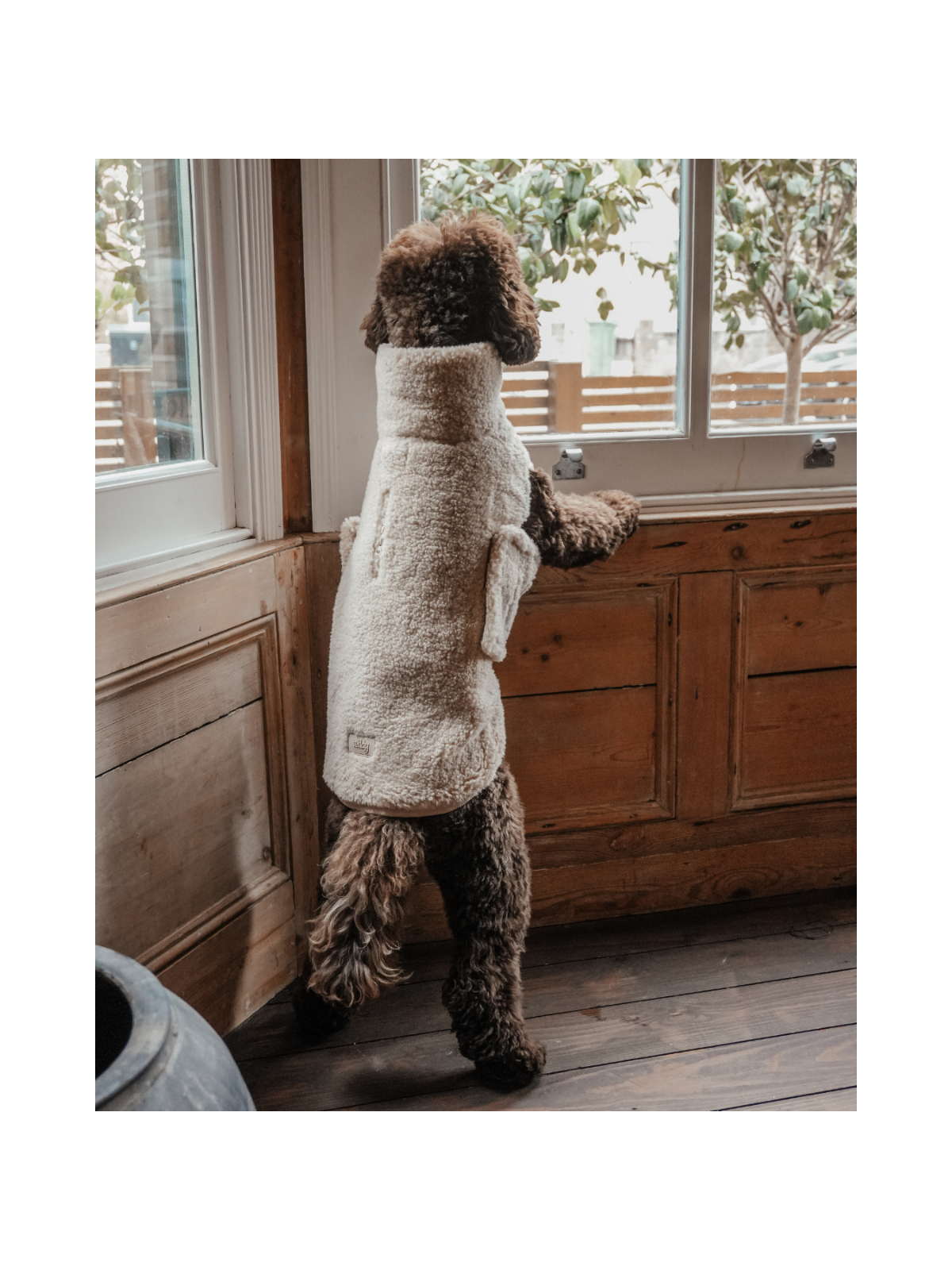 The Capsule Cosy Dog Coat