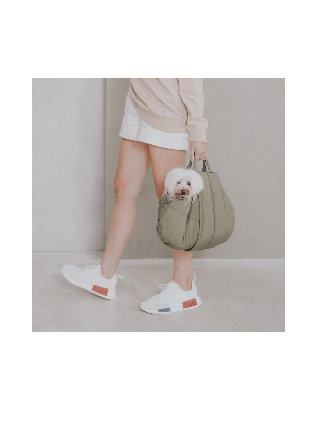 OLLA Petite Pet Carrycot – Fern