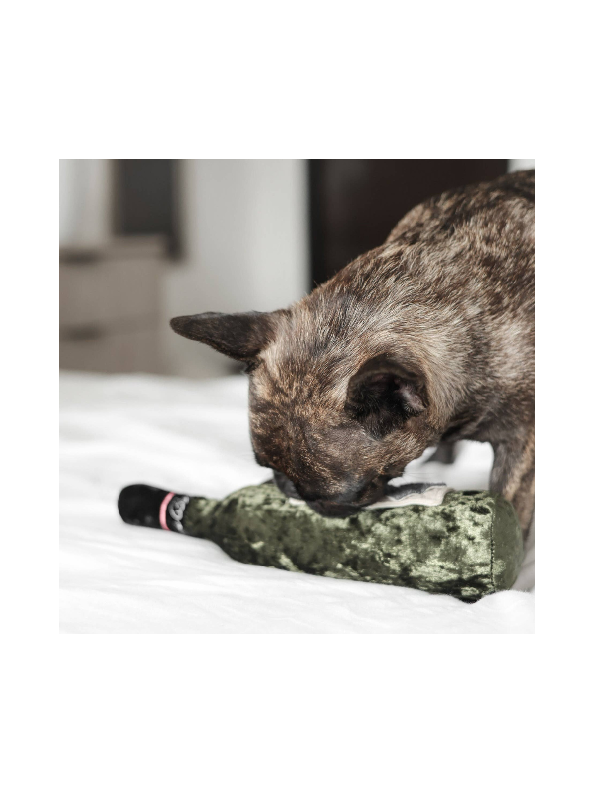Merlot Enrichment Snuffle Toy
