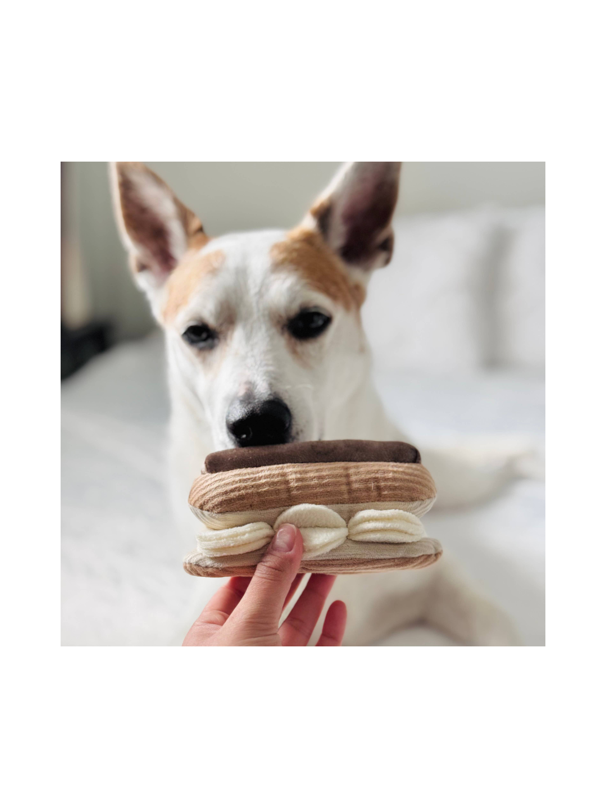 Eclair Enrichment Dog Toy