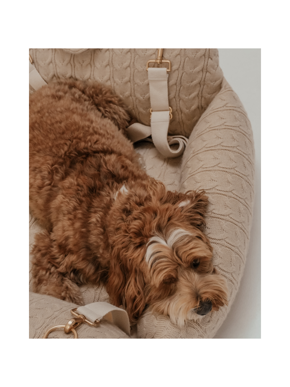 The Cable Knit 3-in-1 Dog Car Seat – Hazelnut
