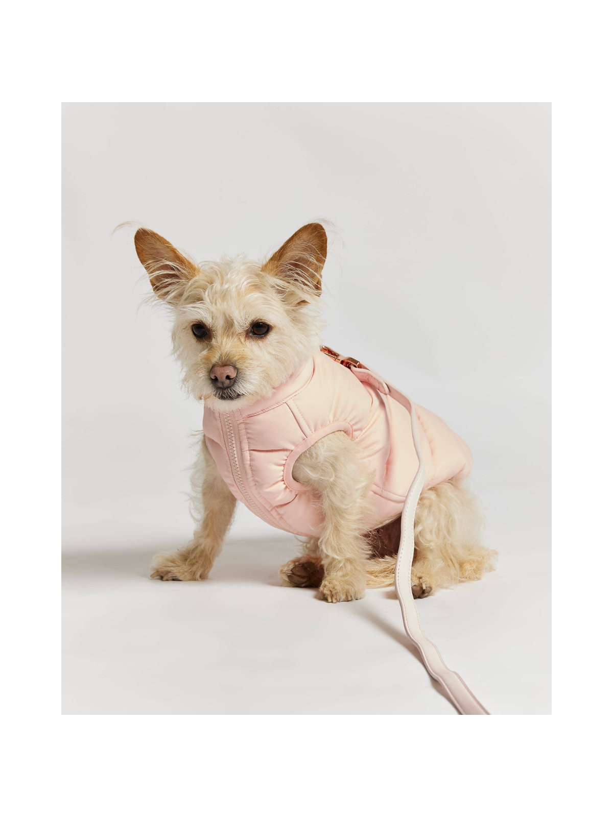 Pink & Lilac Dog Puffer Jacket – Reversible Warm Dog Coat
