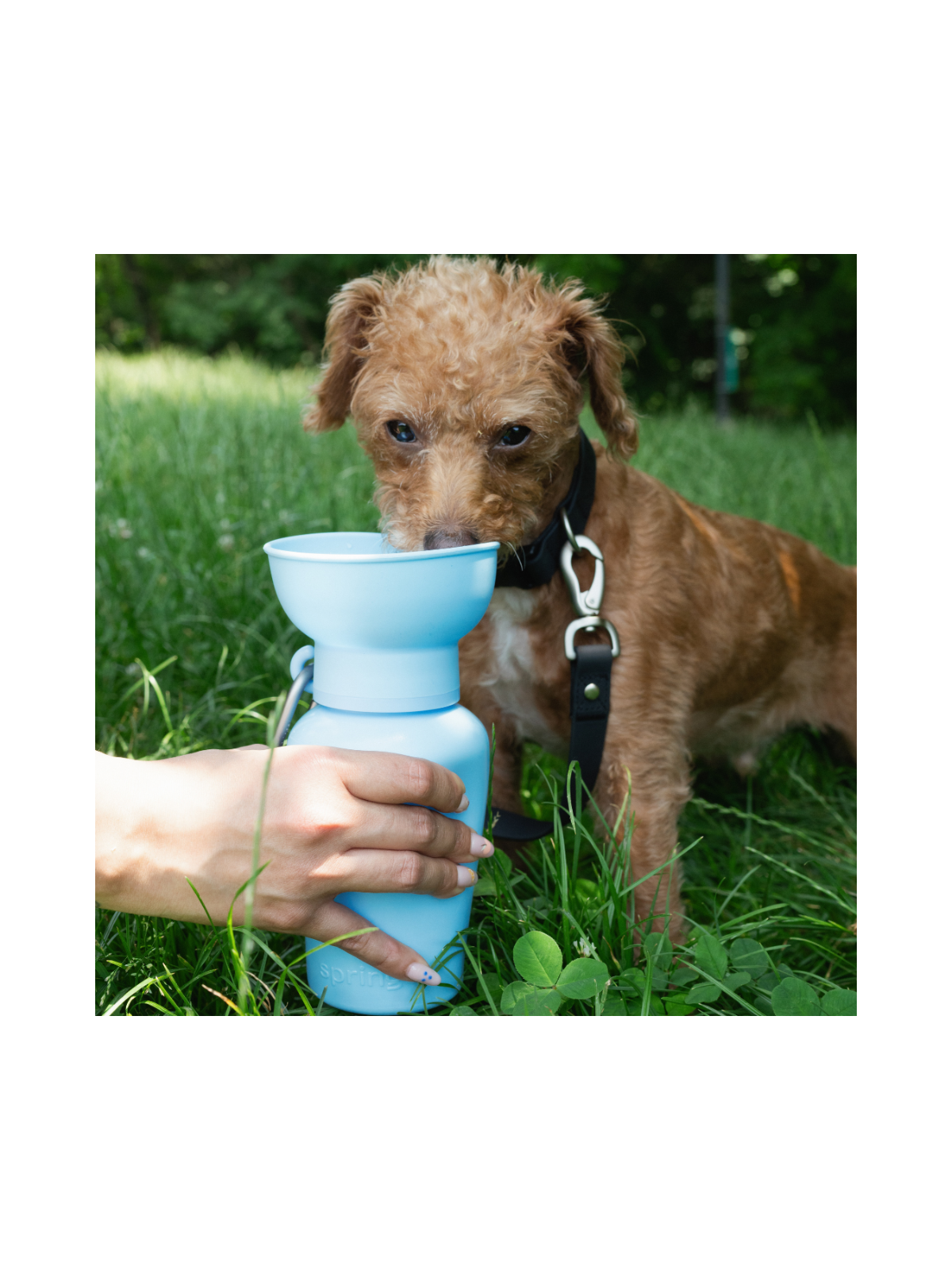 Travel Water Bottle (600ml) – Sky Blue