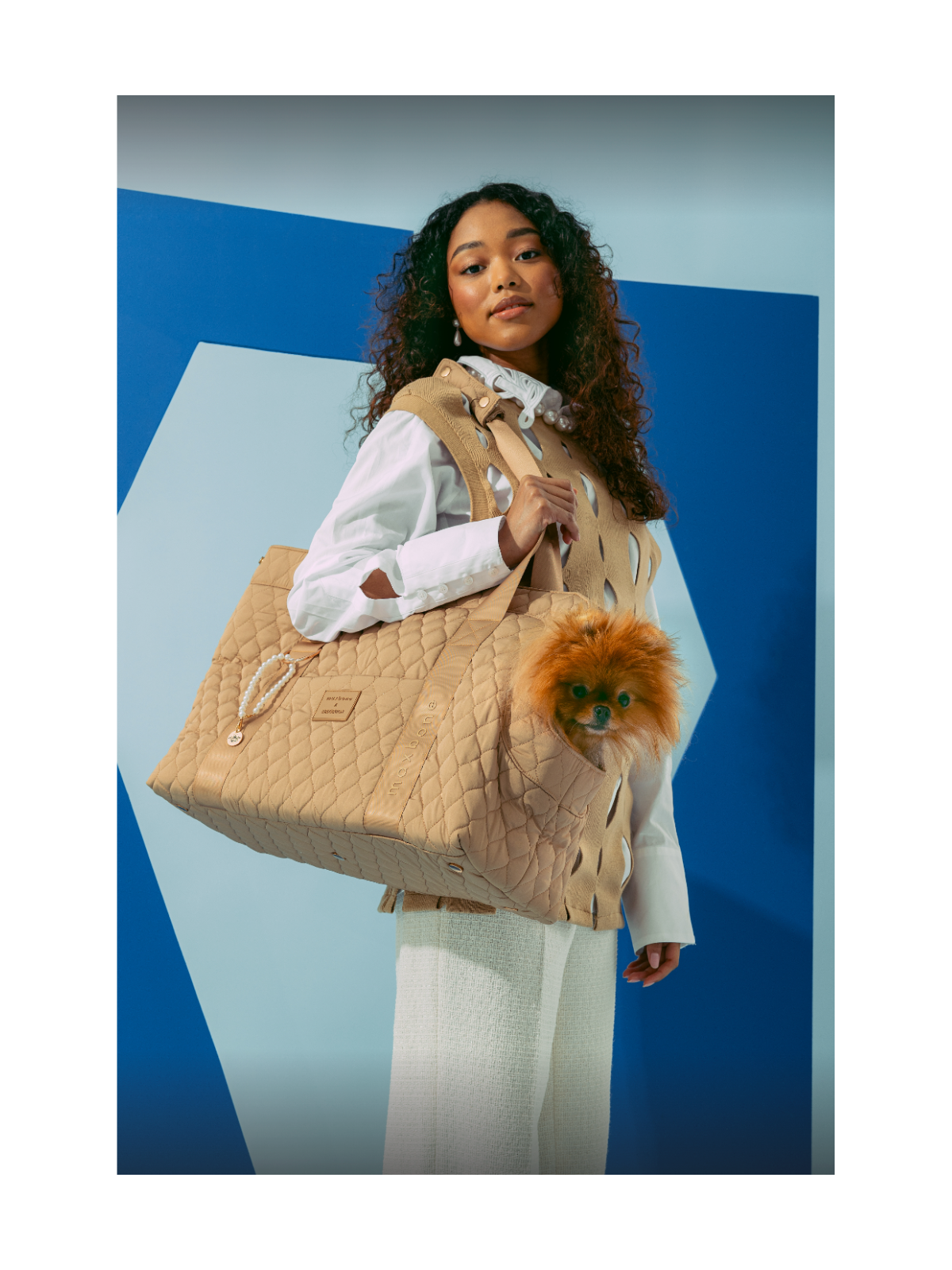 Bridgerton x maxbone Dog Carrier Bag