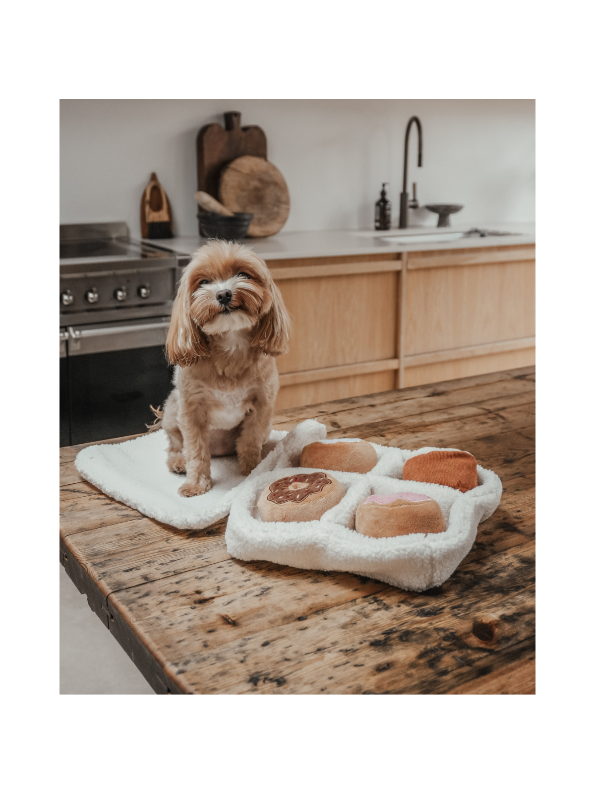 Donut Selection Box Interactive Dog Toy