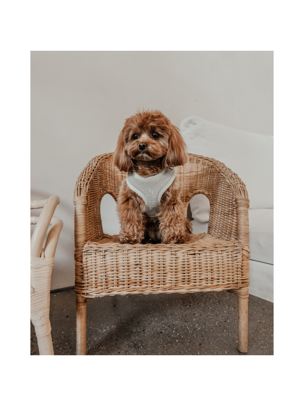 Bouclé Adjustable Harness – Matcha