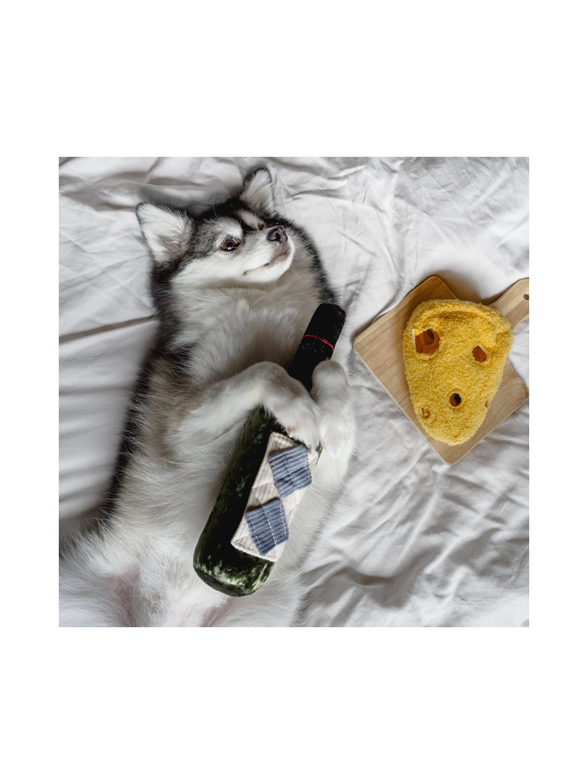 Fromage Enrichment Toy