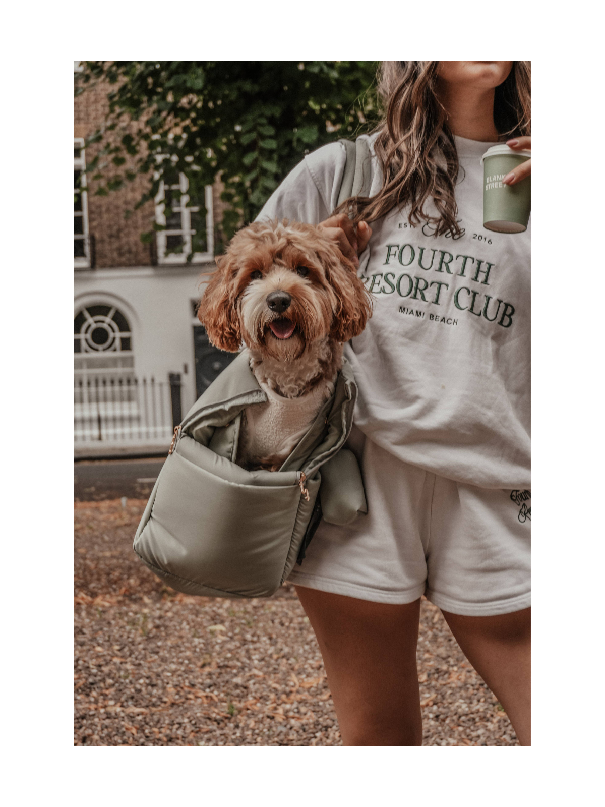 Puffer Dog Carrier – Matcha