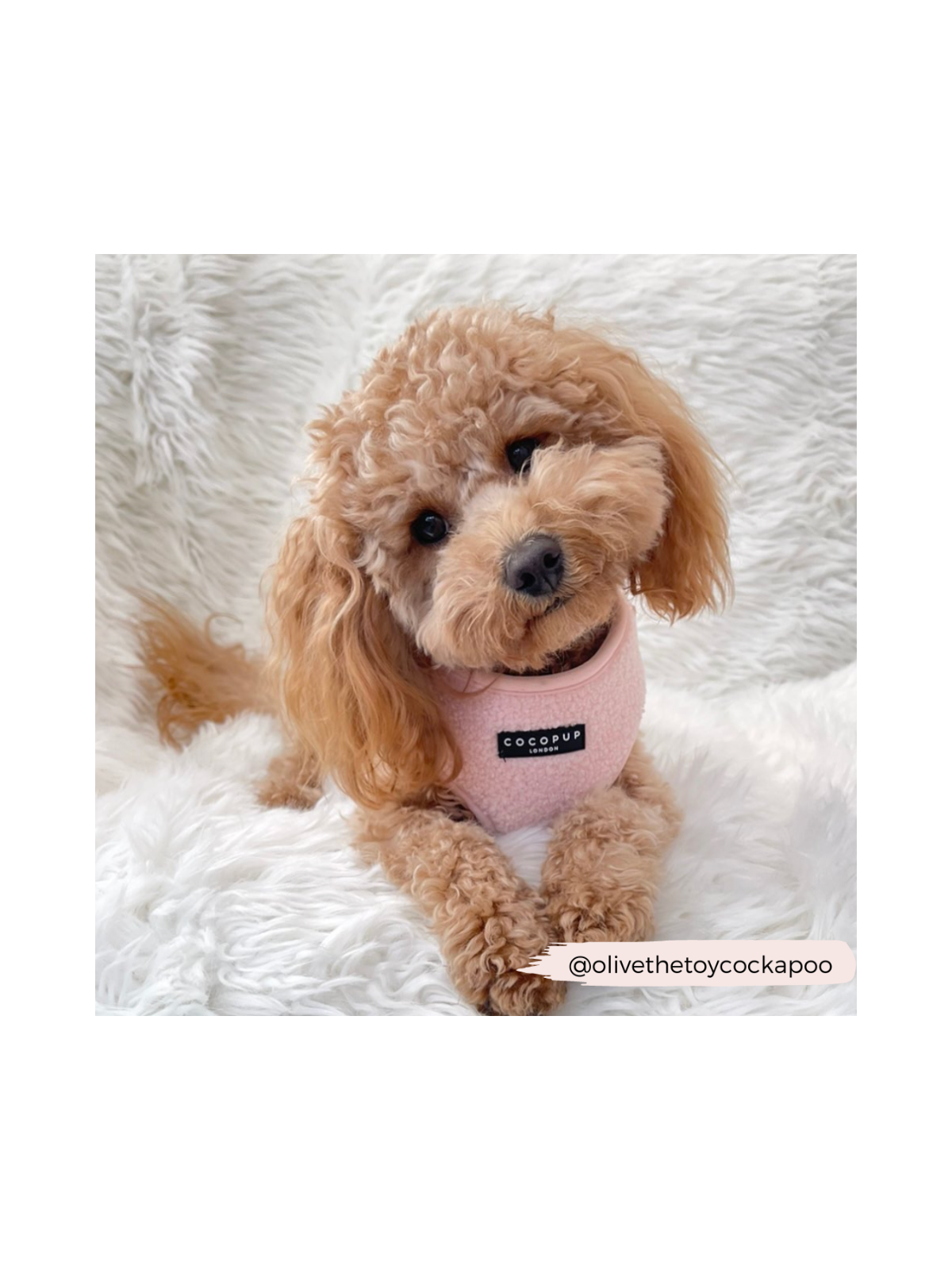 Teddy Adjustable Neck Harness – Love-A-Lot Pink