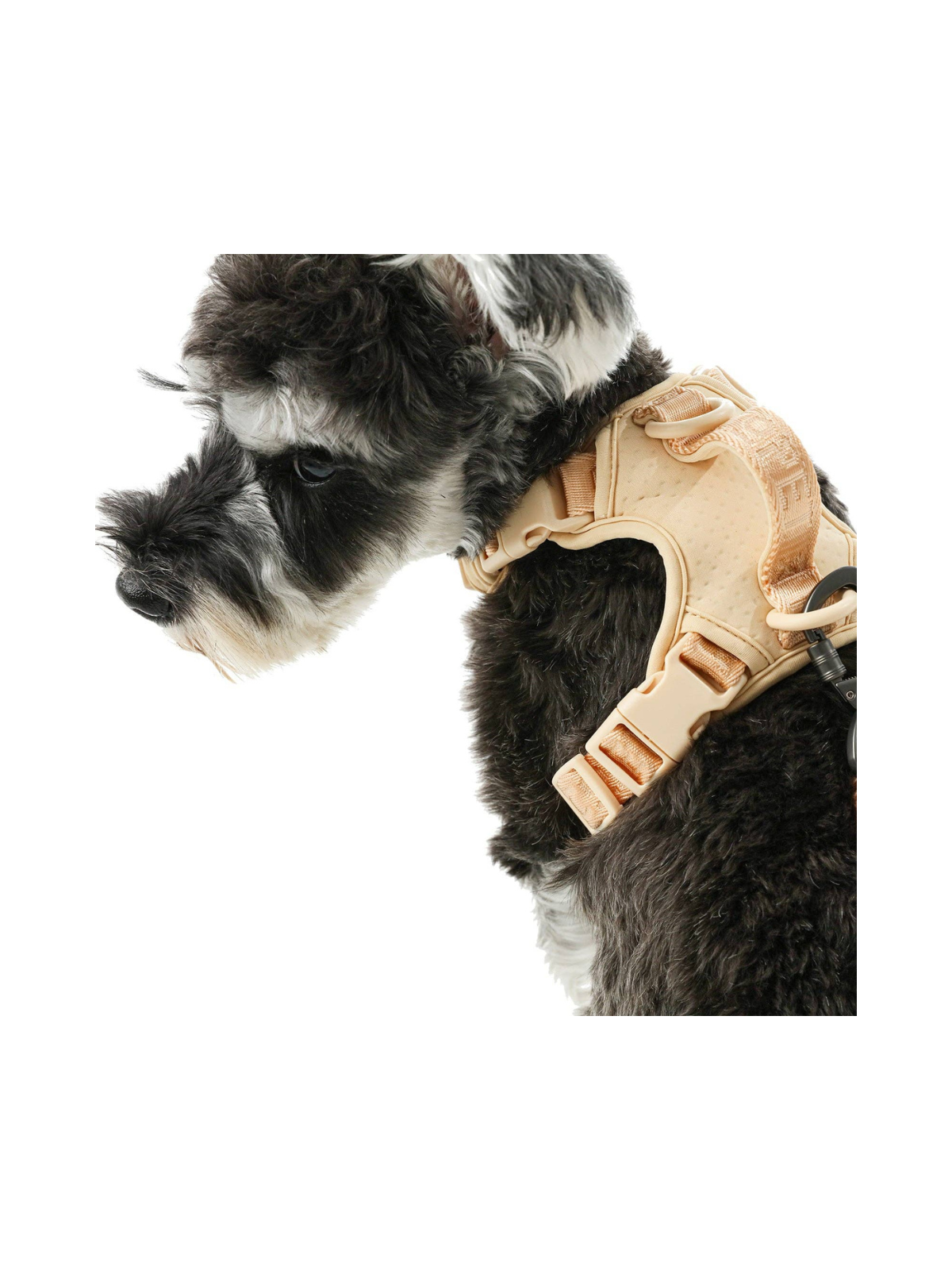No Pull Active Dog Harness – Apricot