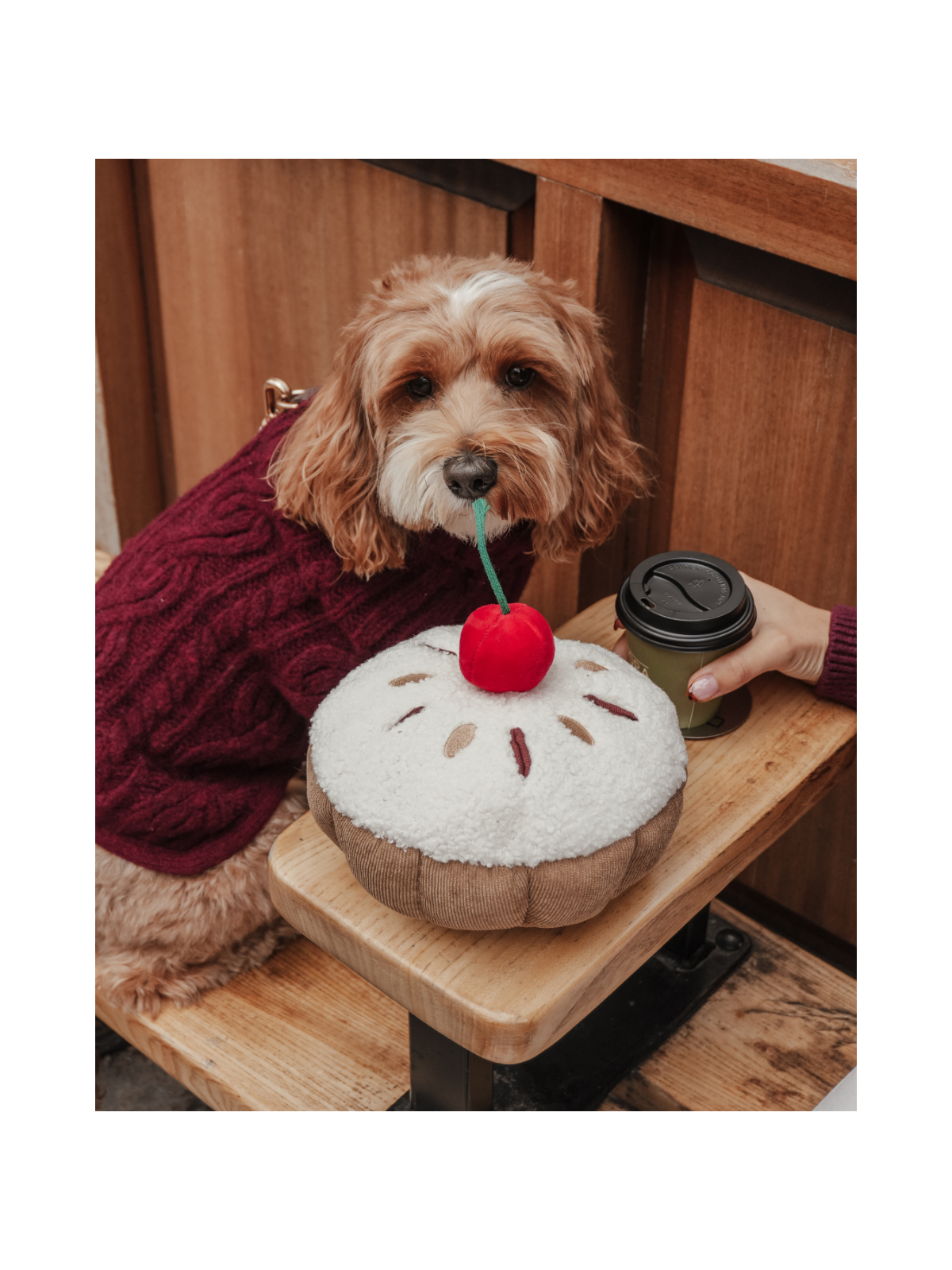 Cherry Bakewell Tart Interactive Dog Toy