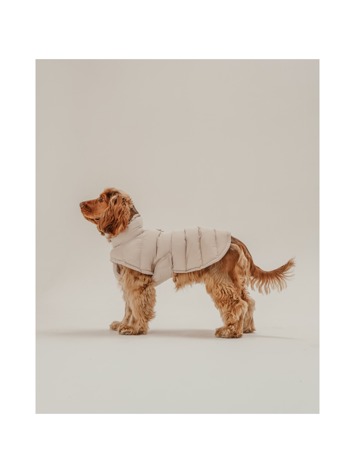 The Capsule Puffer Dog Coat – Hazelnut
