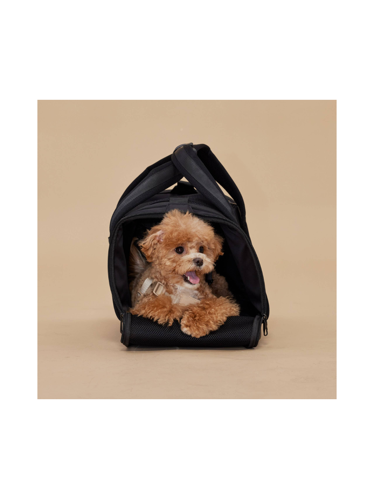 Onboard Travel Pet Carrier