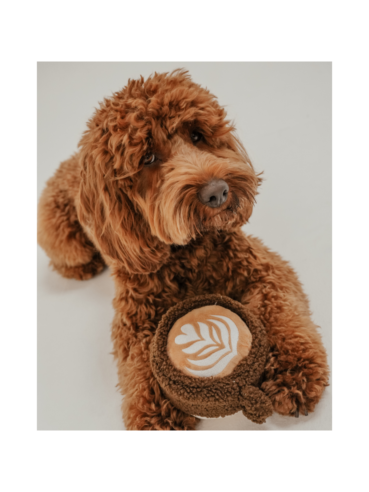 Flat White Cup Interactive Dog Toy