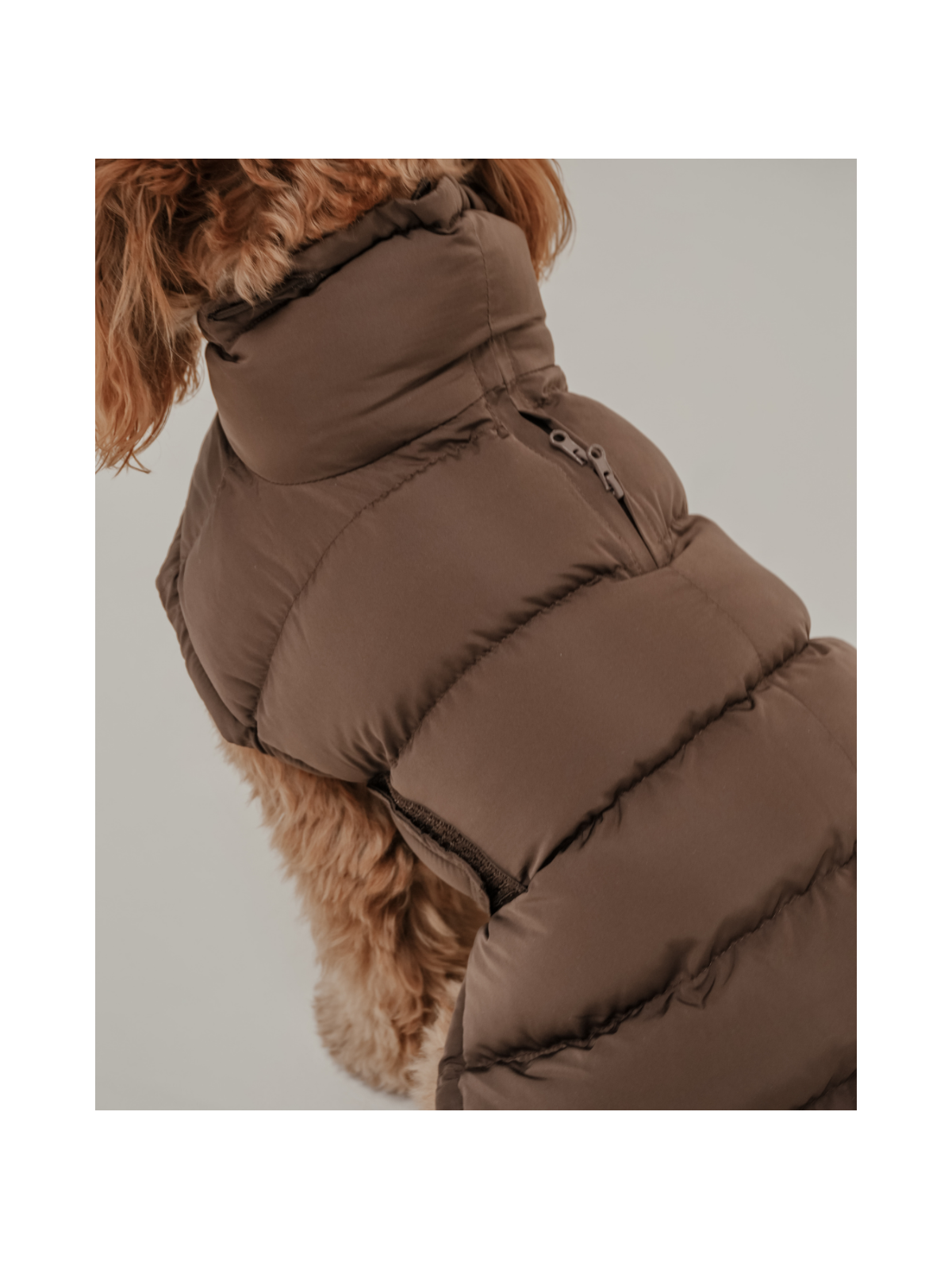 The Capsule Puffer Dog Coat – Chocolate