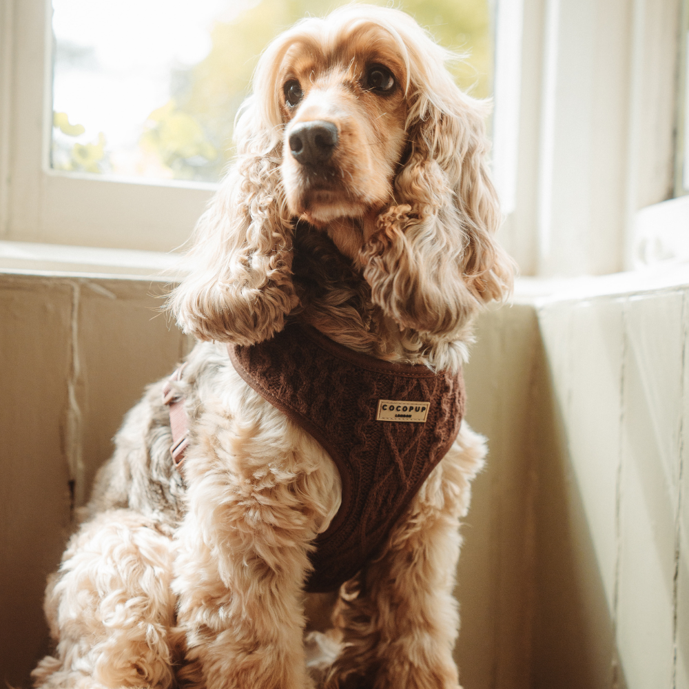 Cable Knit Jumper Adjustable Neck Harness - Hot Coco Brown