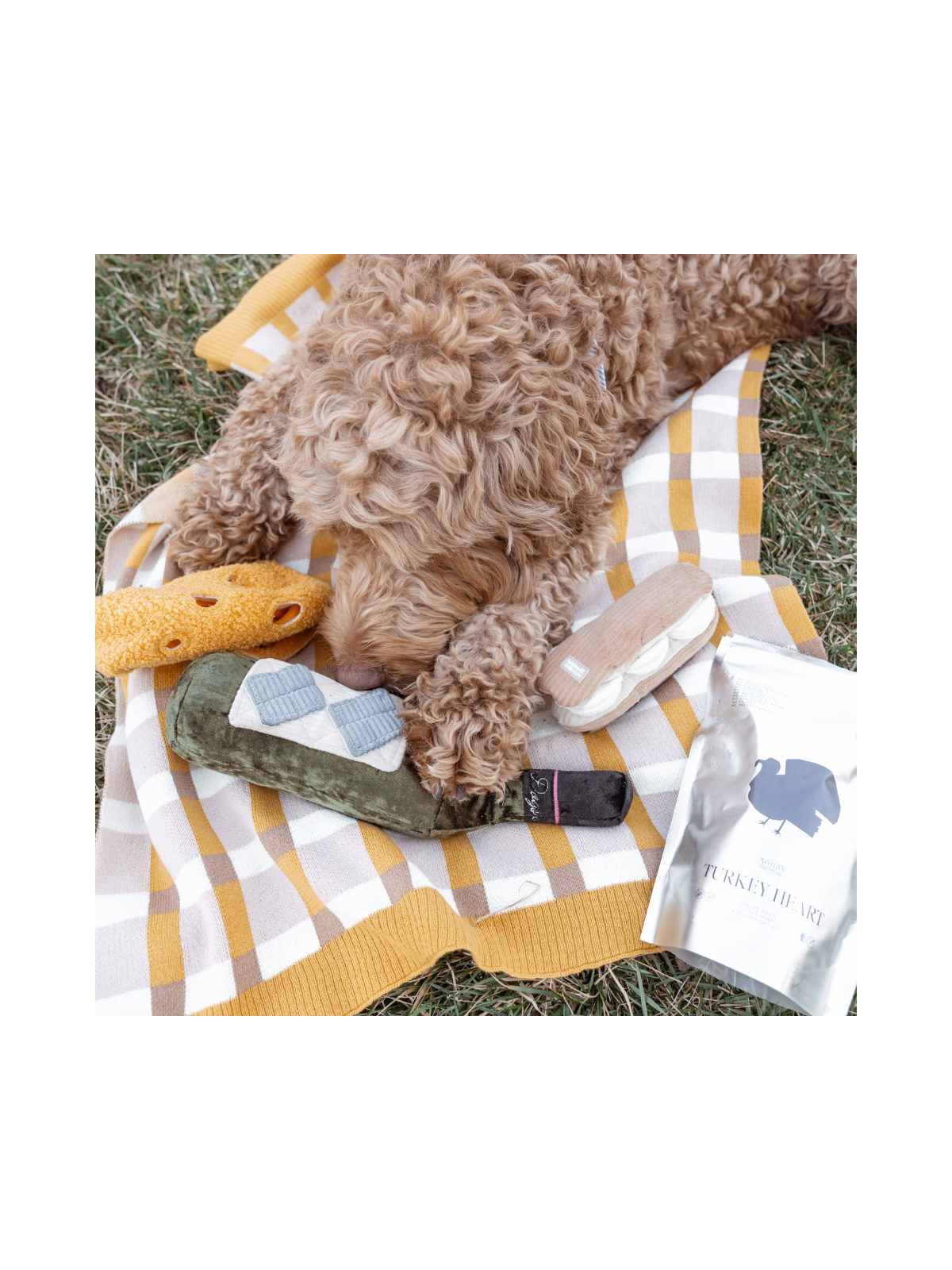 Merlot Enrichment Snuffle Toy