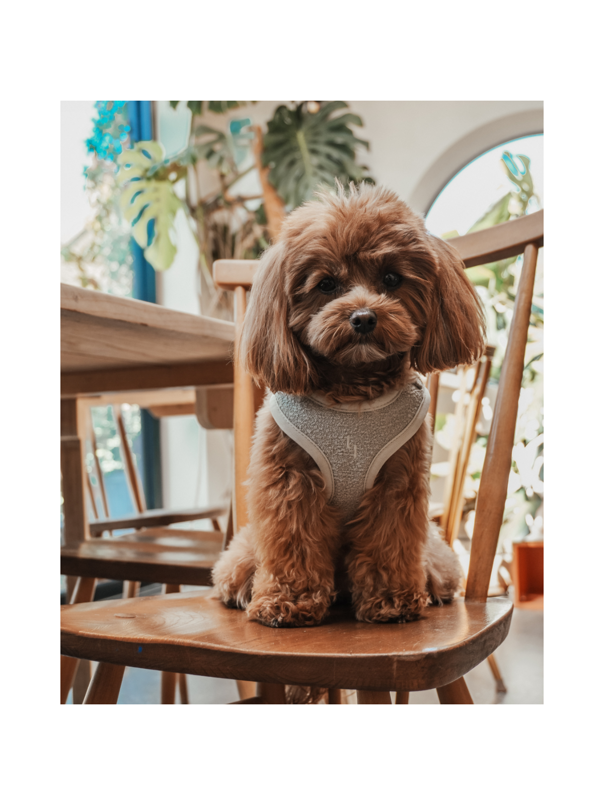 Bouclé Adjustable Harness – Matcha