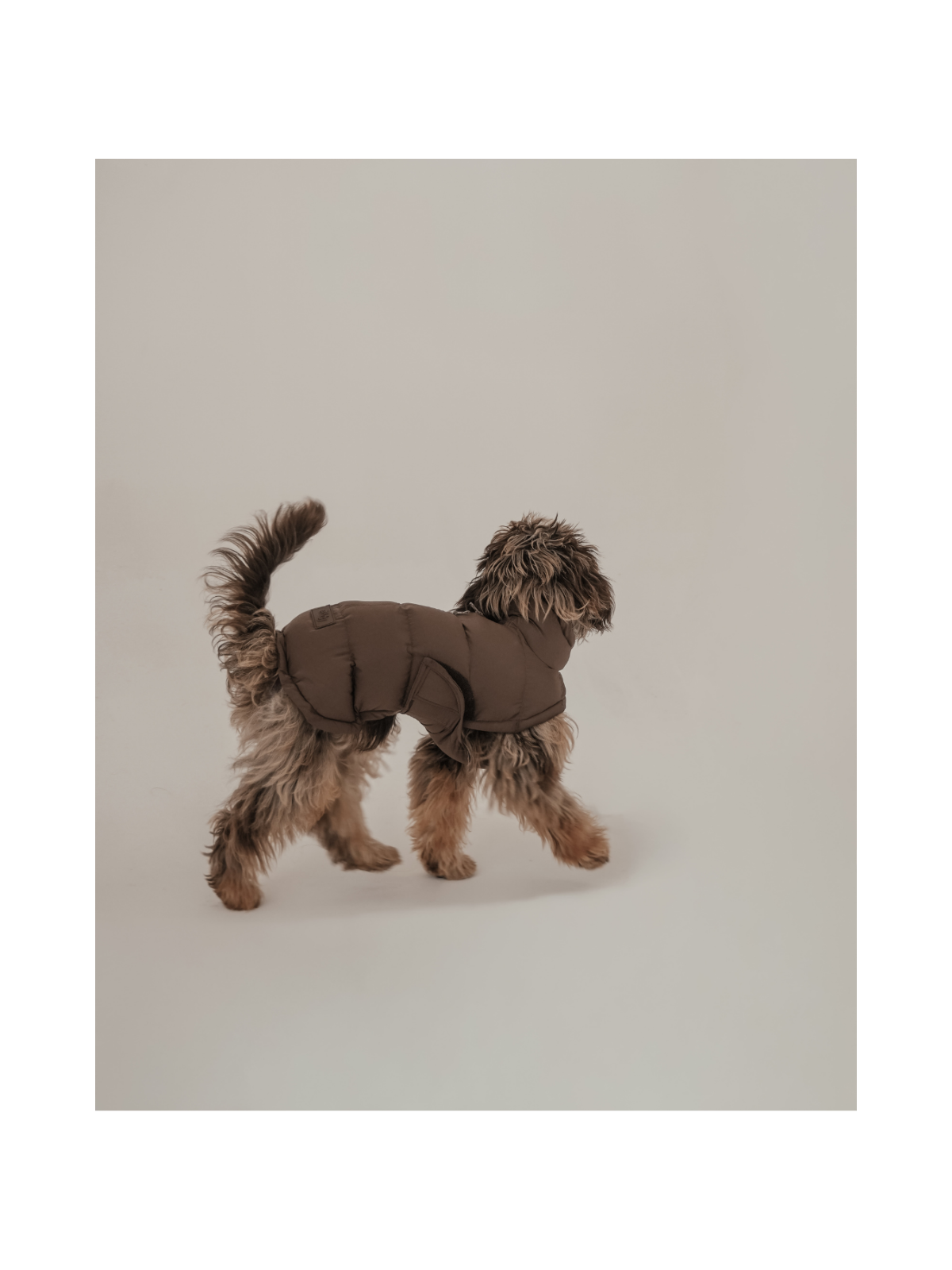 The Capsule Puffer Dog Coat – Chocolate