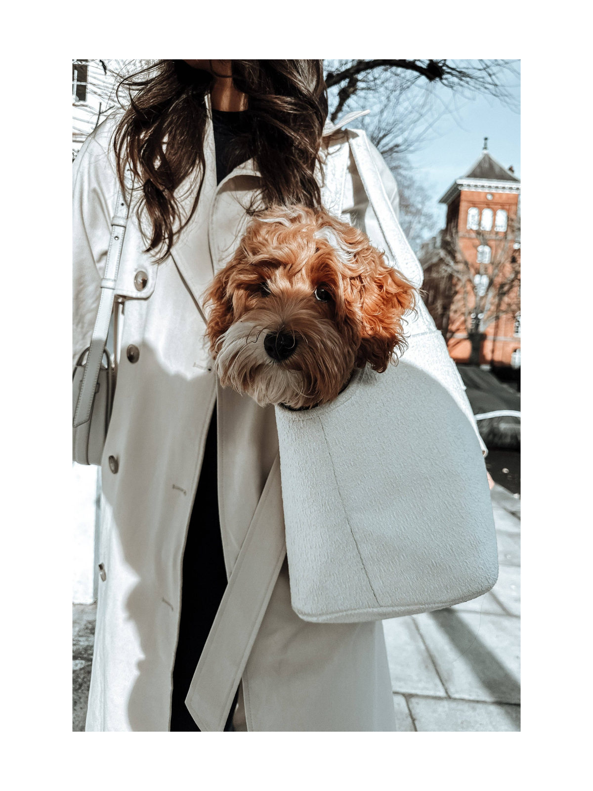The Bouclé Carrier – Marshmallow