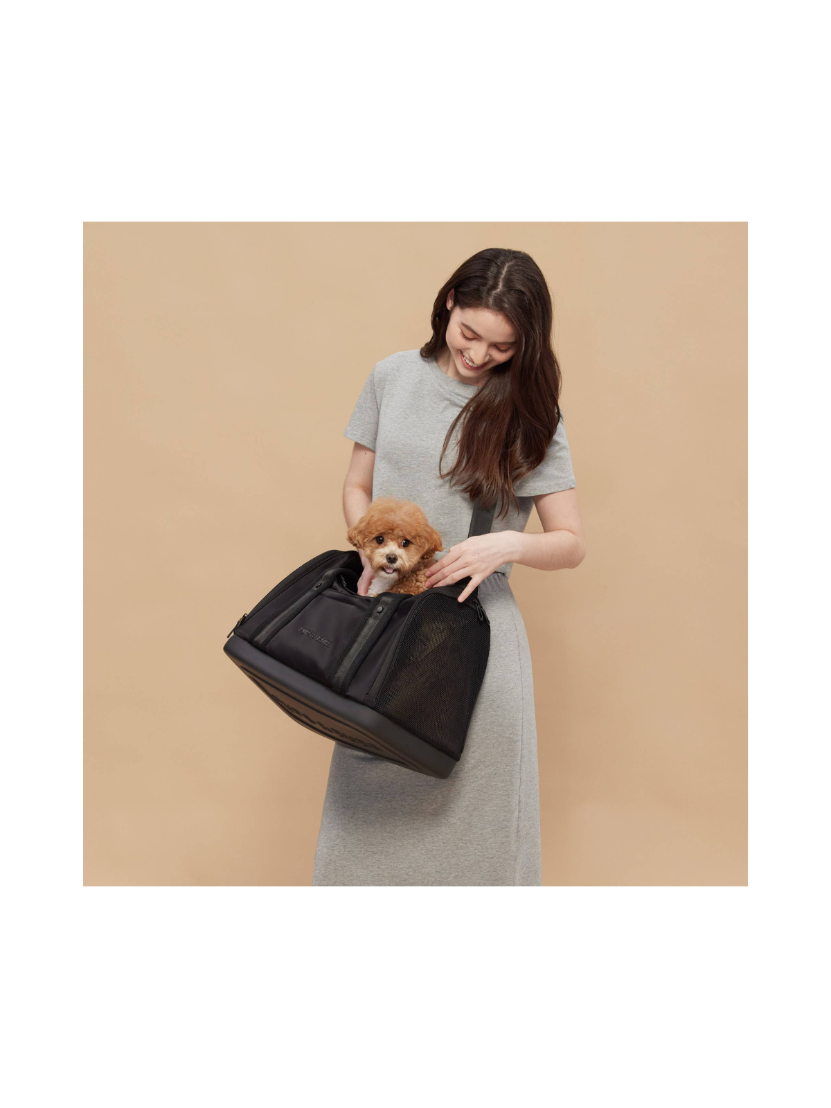 Onboard Travel Pet Carrier