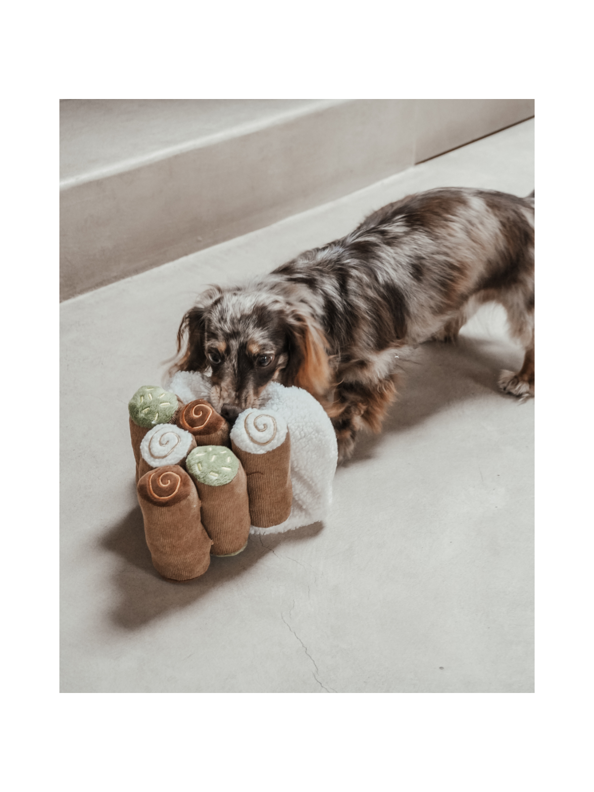 Cannoli Pyramid Interactive Dog Toy