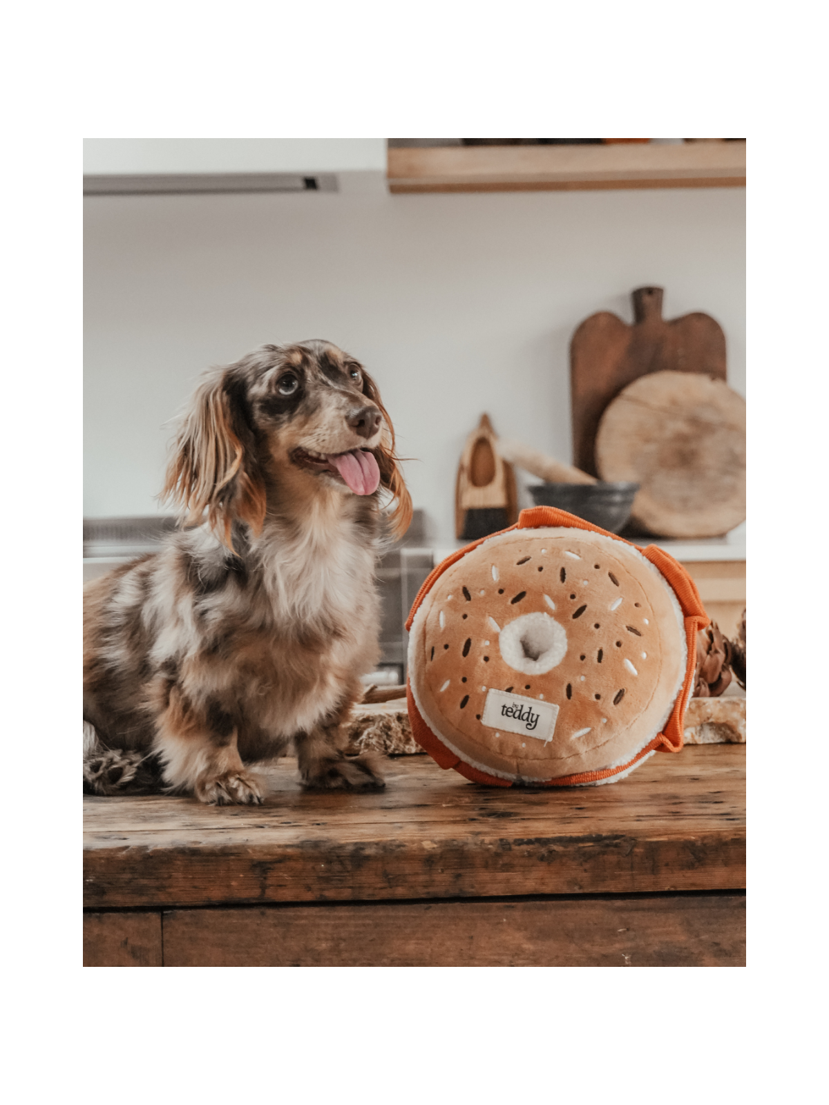 Salmon & Cream Cheese Bagel Interactive Dog Toy