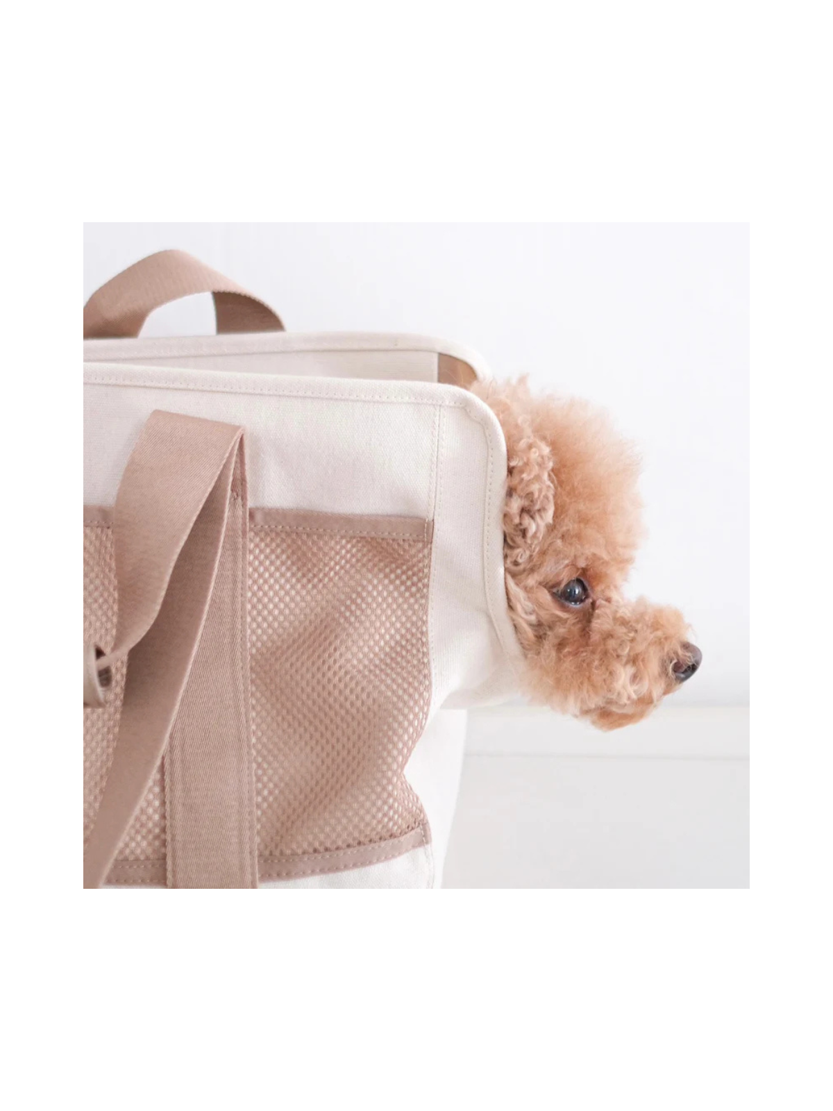 Subway Dog Carrier – Camel