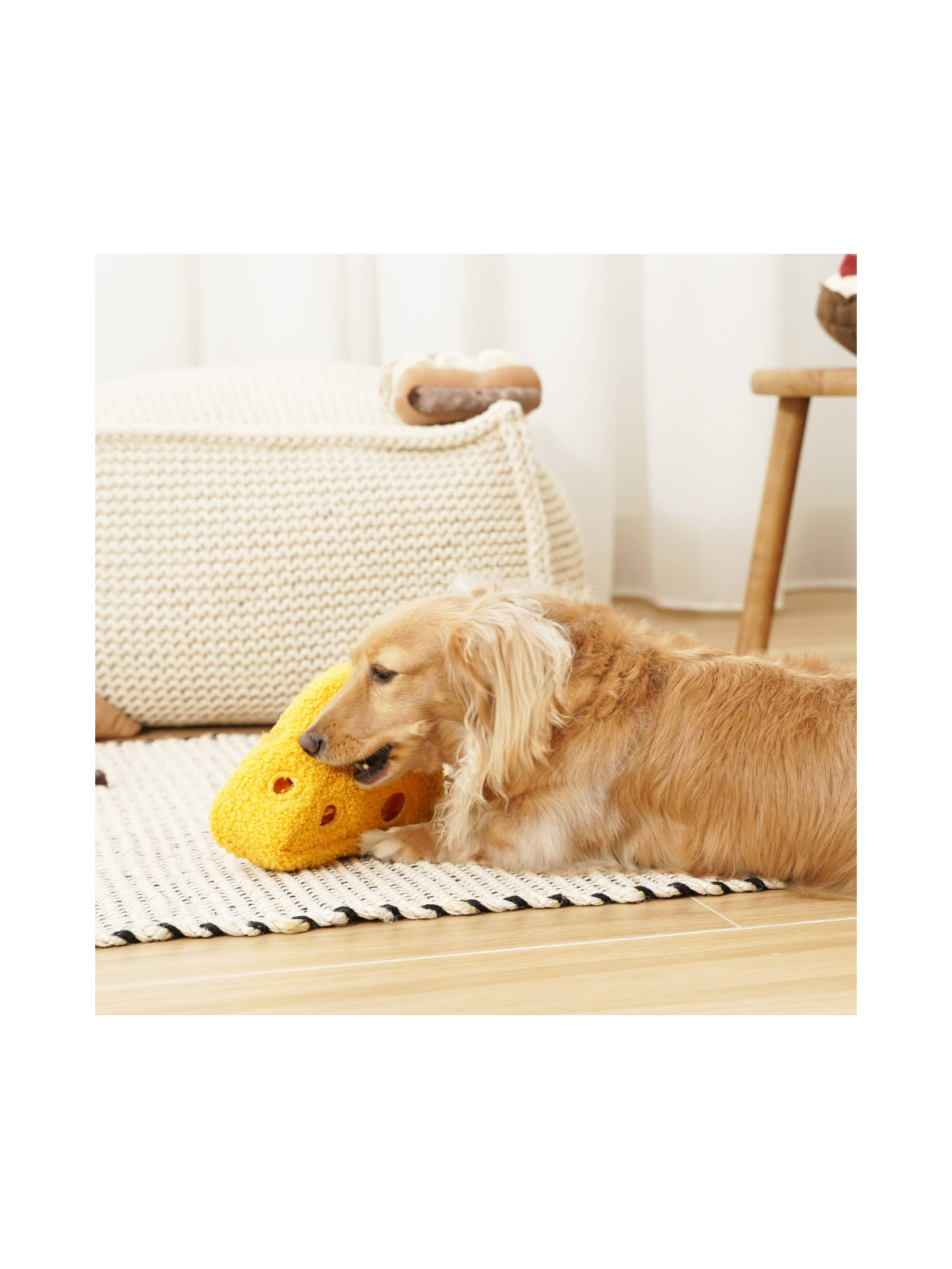 Fromage Enrichment Toy