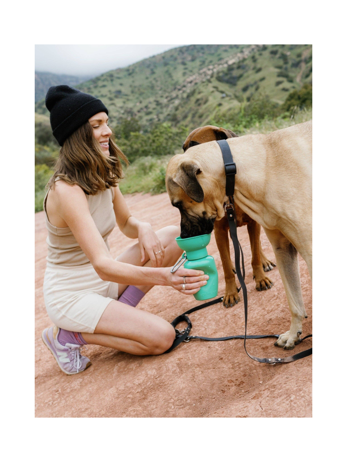 Travel Water Bottle (600ml) – Green