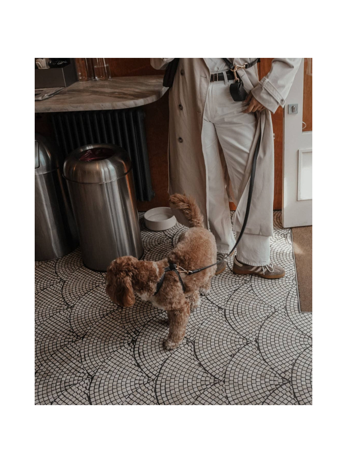 Studio Step-In Dog Harness – Chocolate