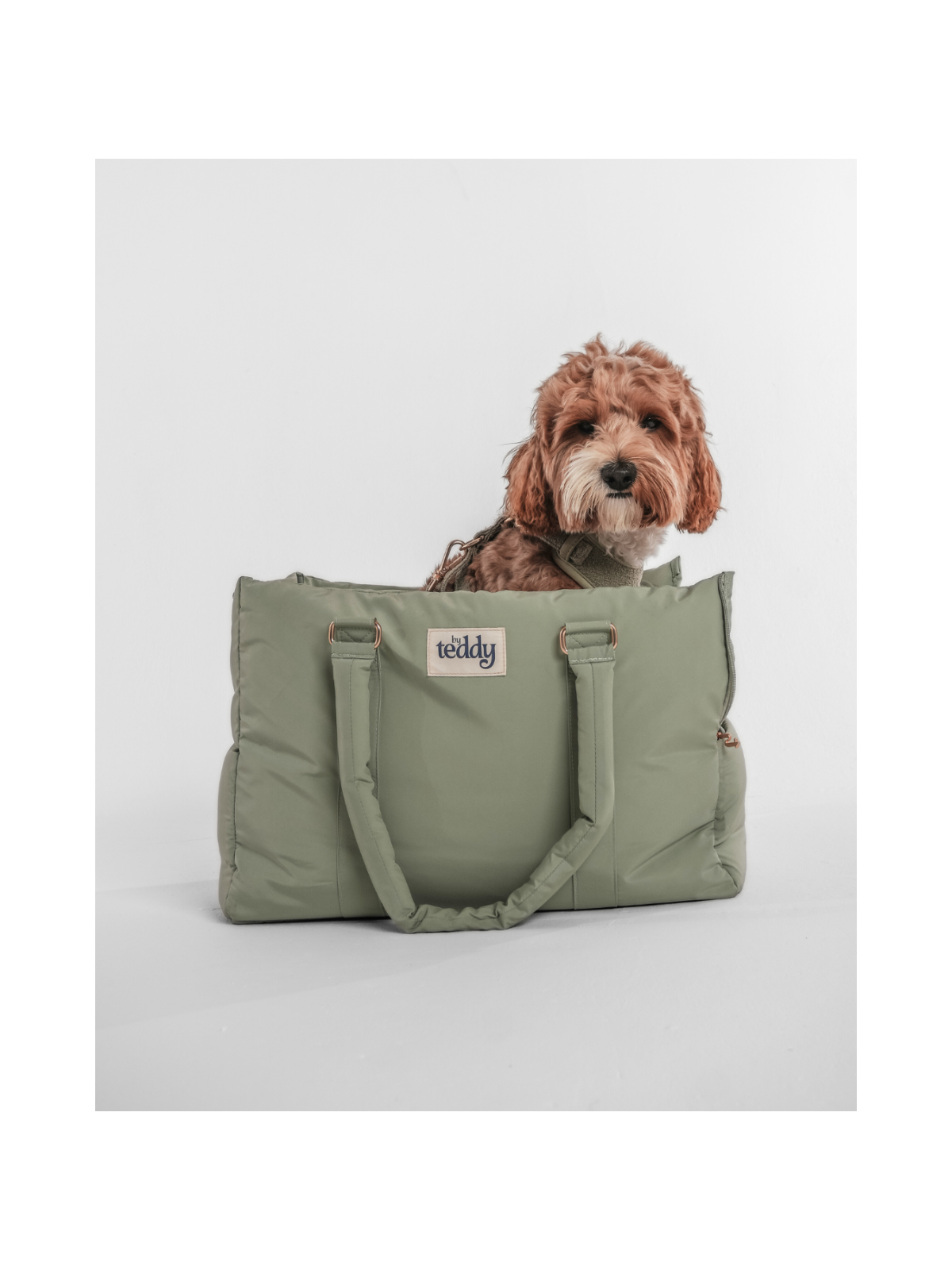 Puffer Dog Carrier – Matcha