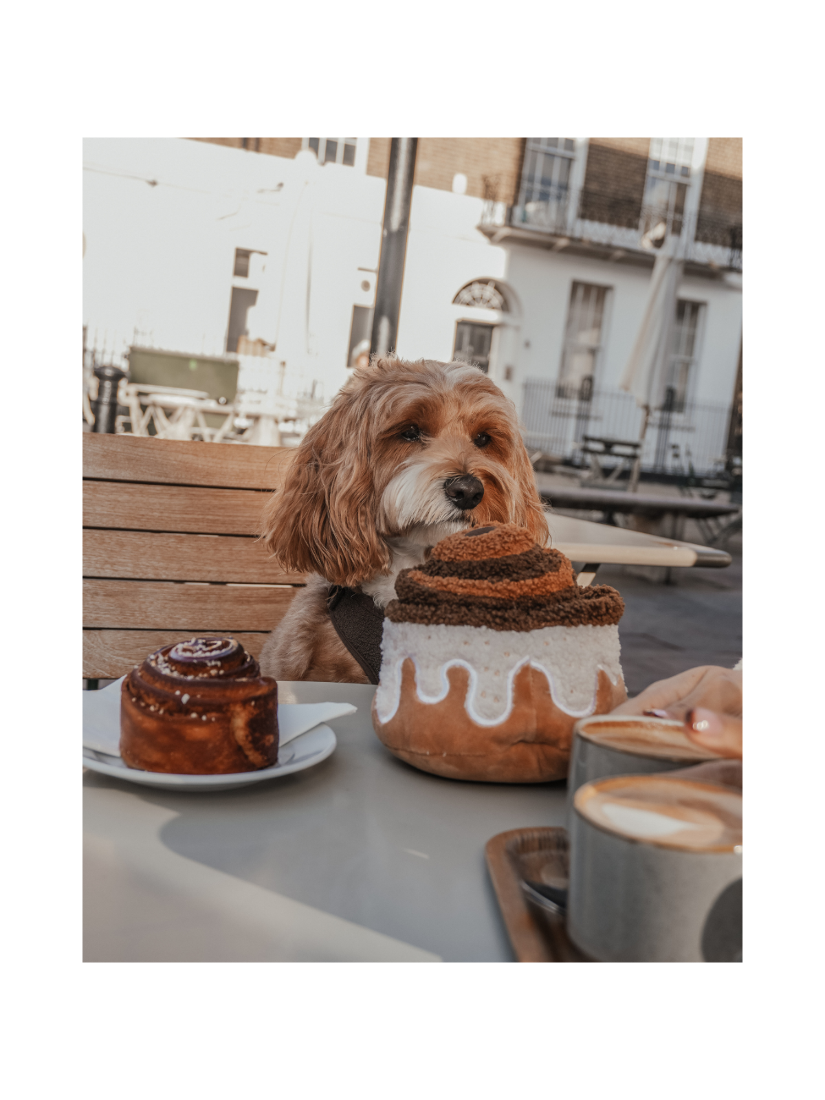 Cinnamon Roll Interactive Dog Toy