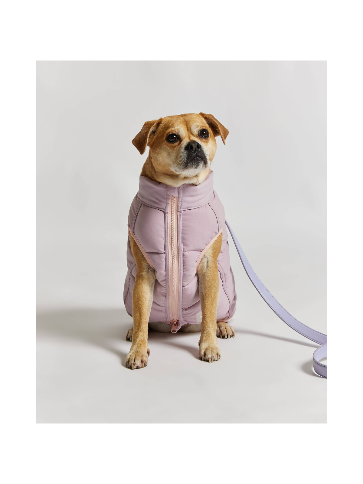 Pink & Lilac Dog Puffer Jacket – Reversible Warm Dog Coat