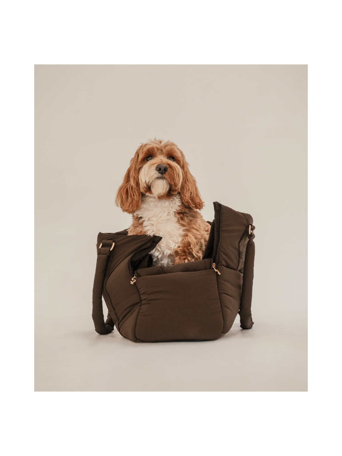 The Puffer Carrier – Chocolate