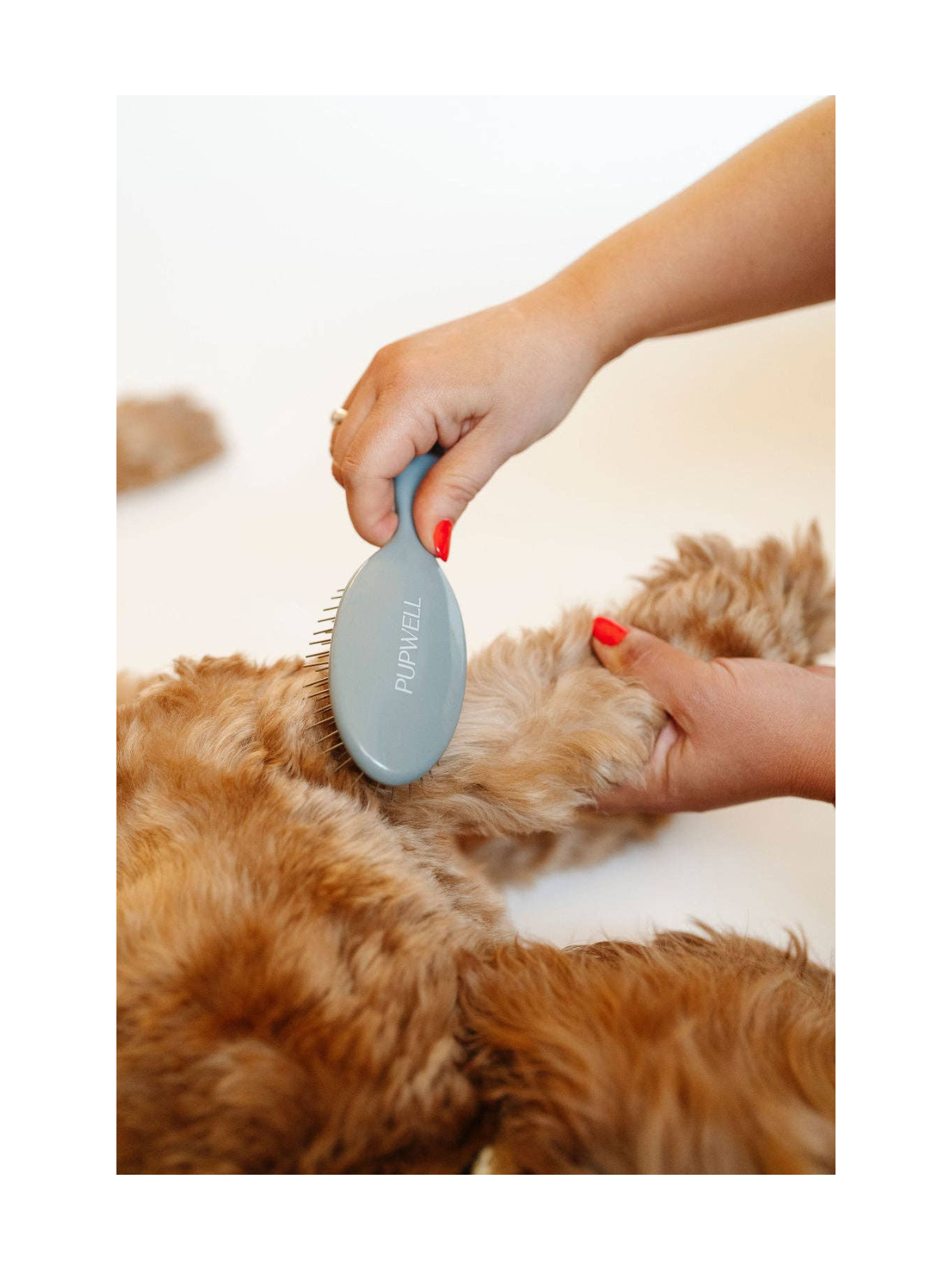 Gentle Detangling Brush