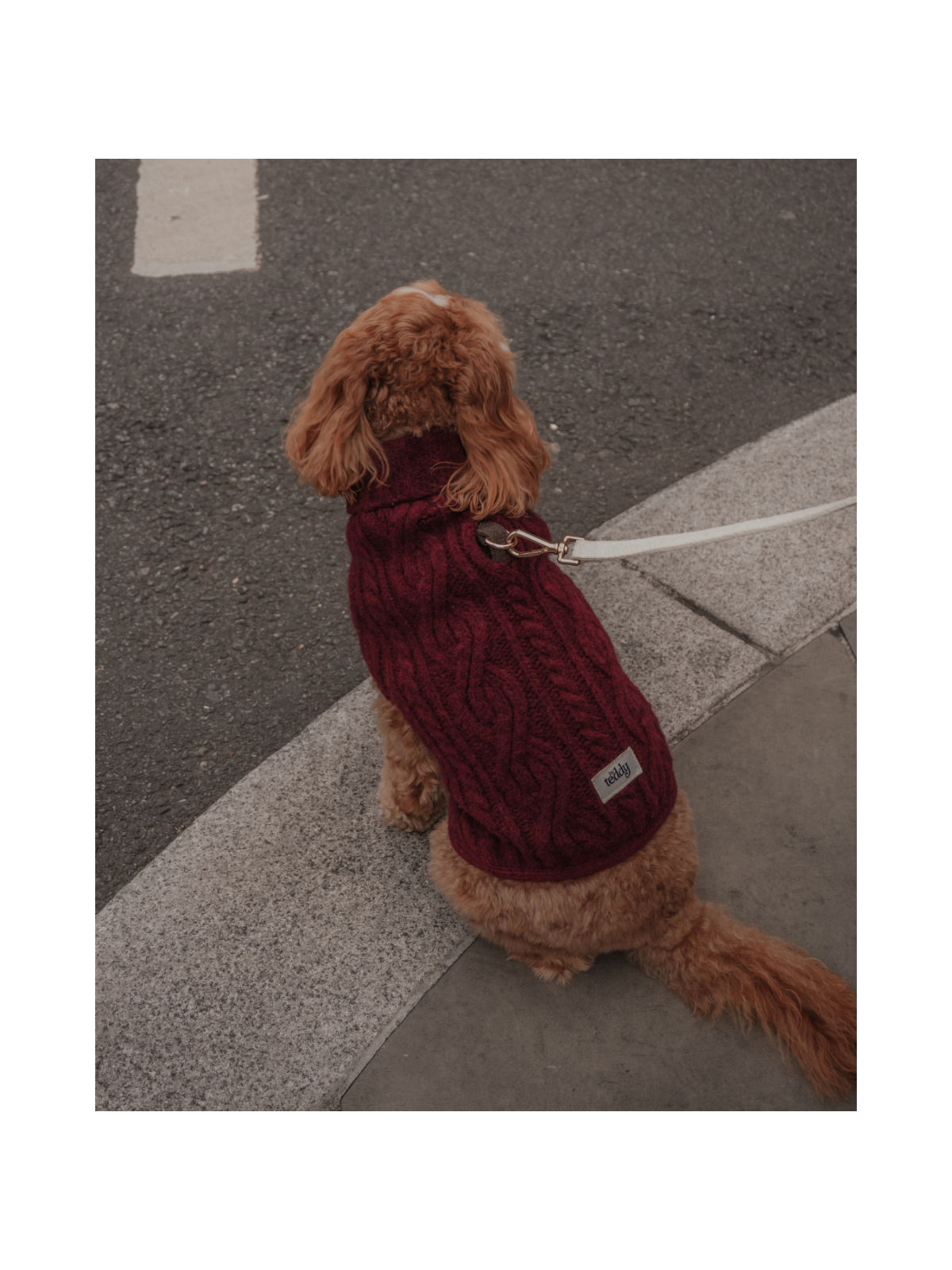 The Capsule Cable Knit Dog Sweater – Bordeaux