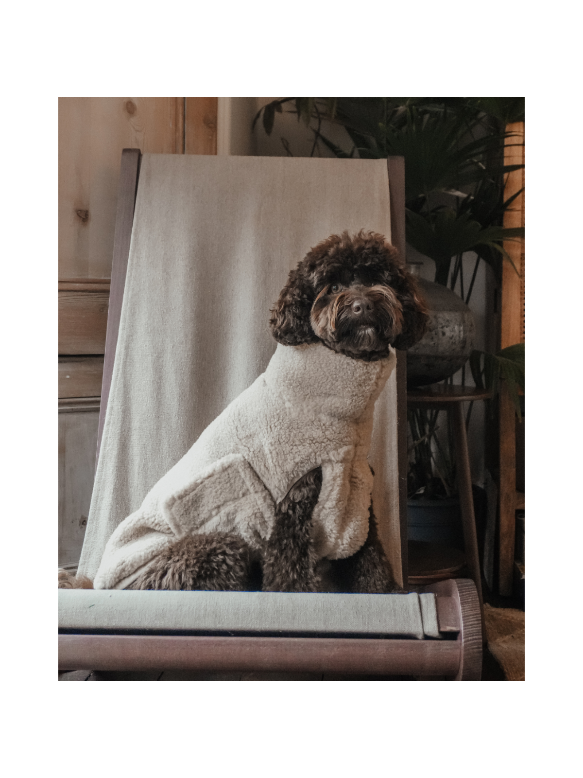 The Capsule Cosy Dog Coat