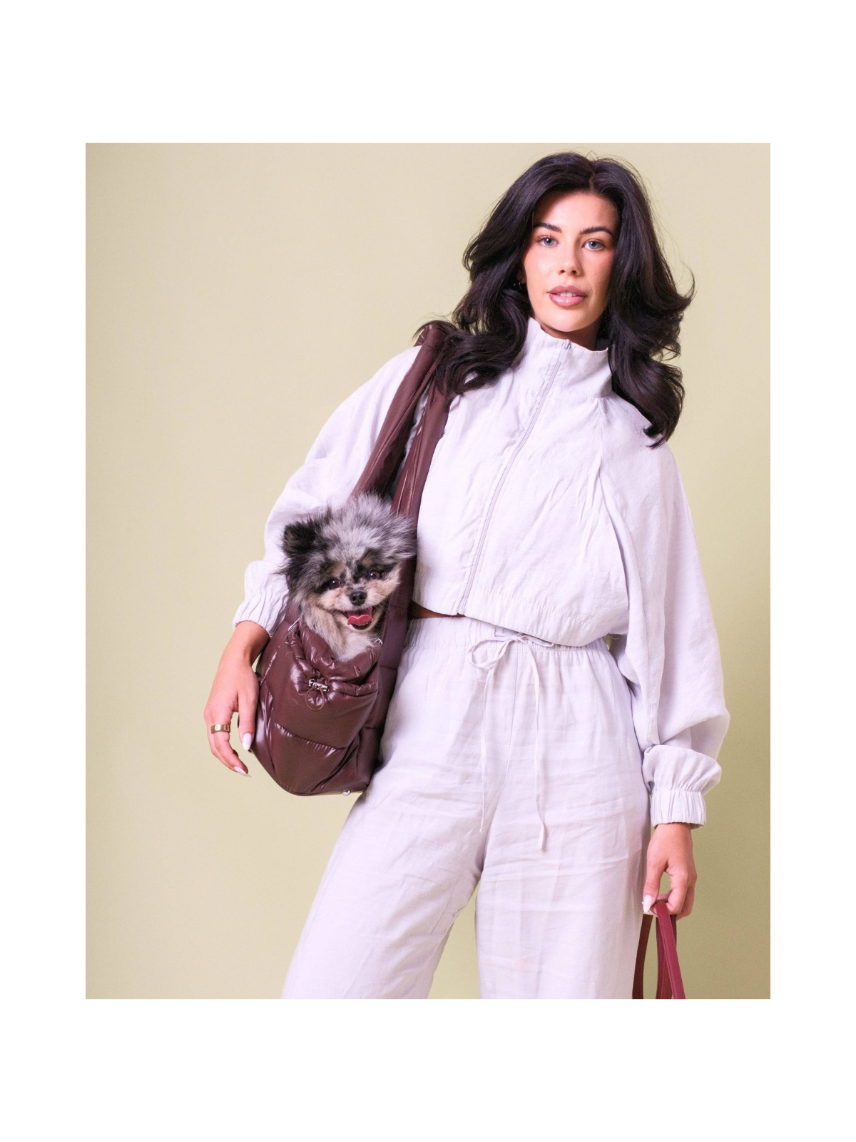 City Dog Carrier – Espresso Brown