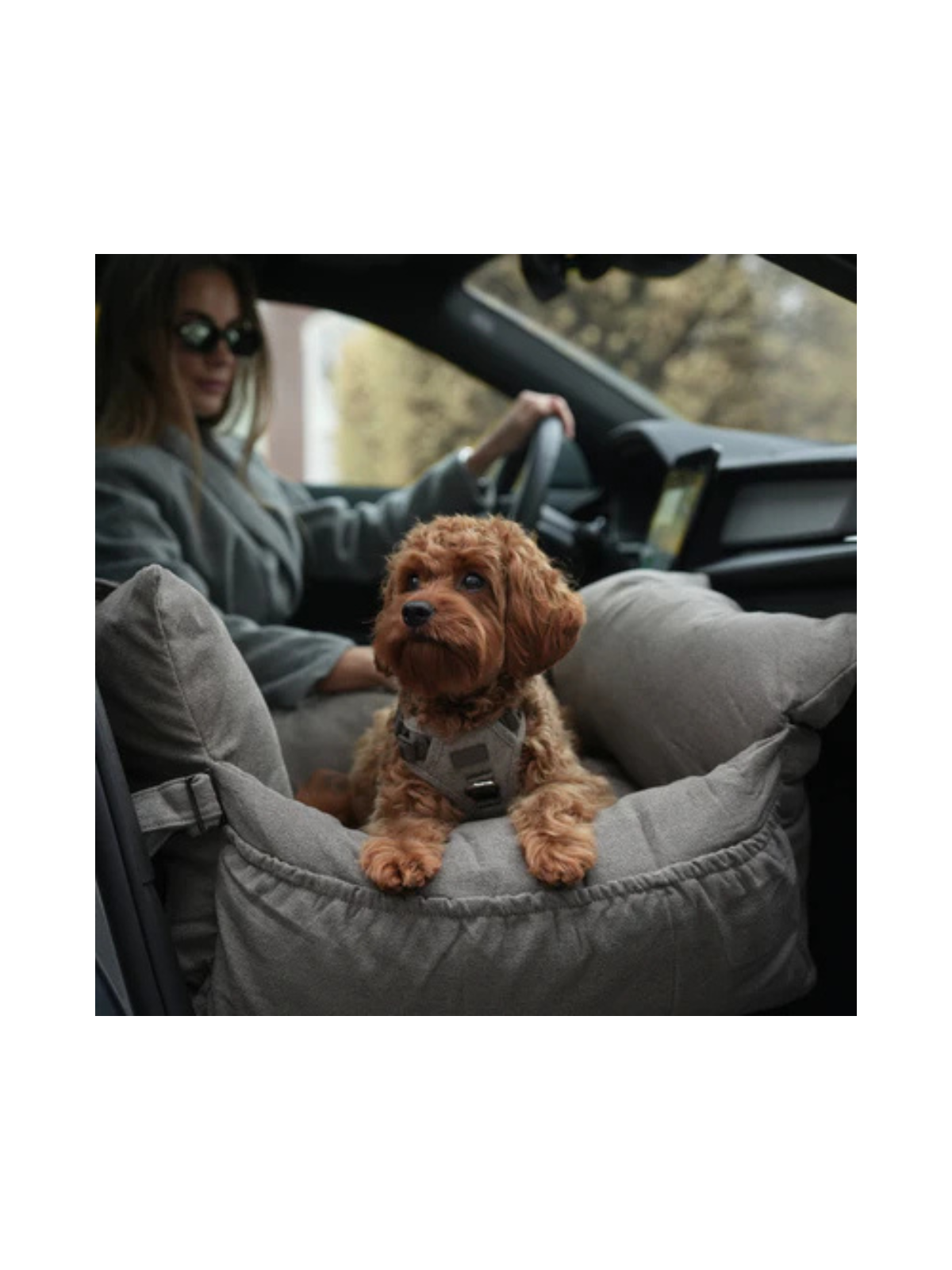 3-in-1 Dog Car Seat & Carrier – Taupe