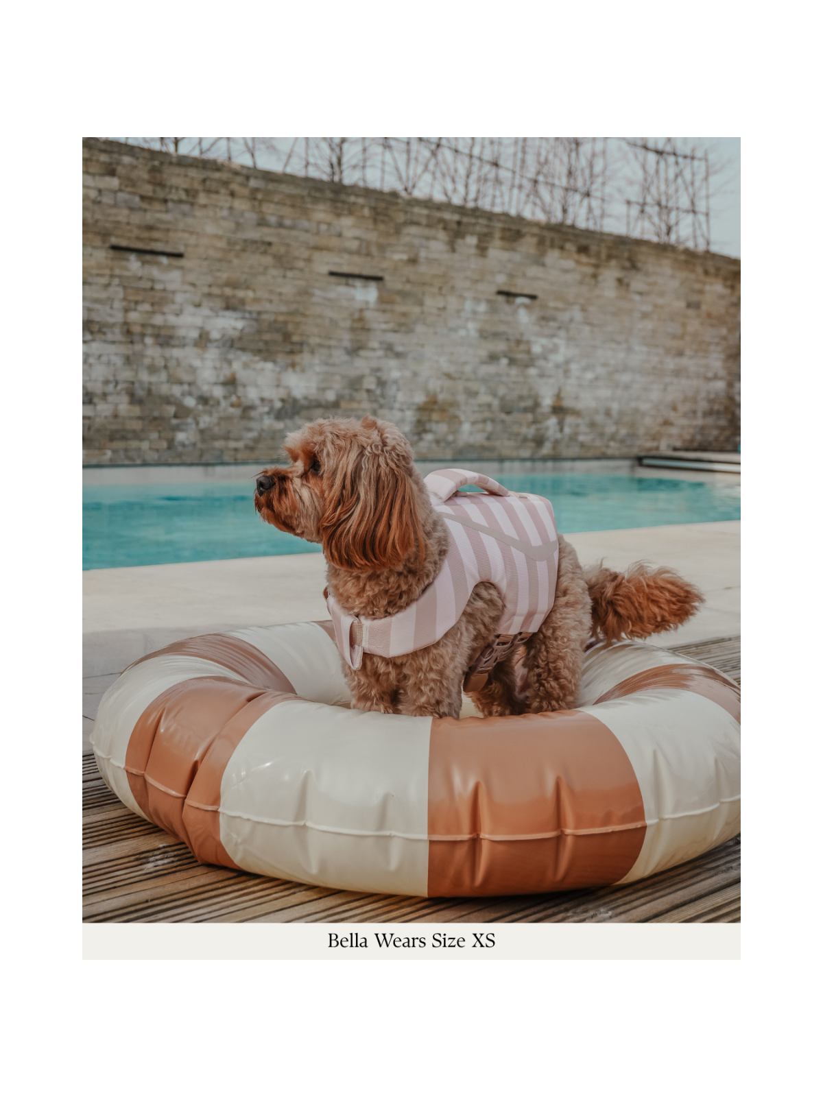 The Tide Rider Life Jacket