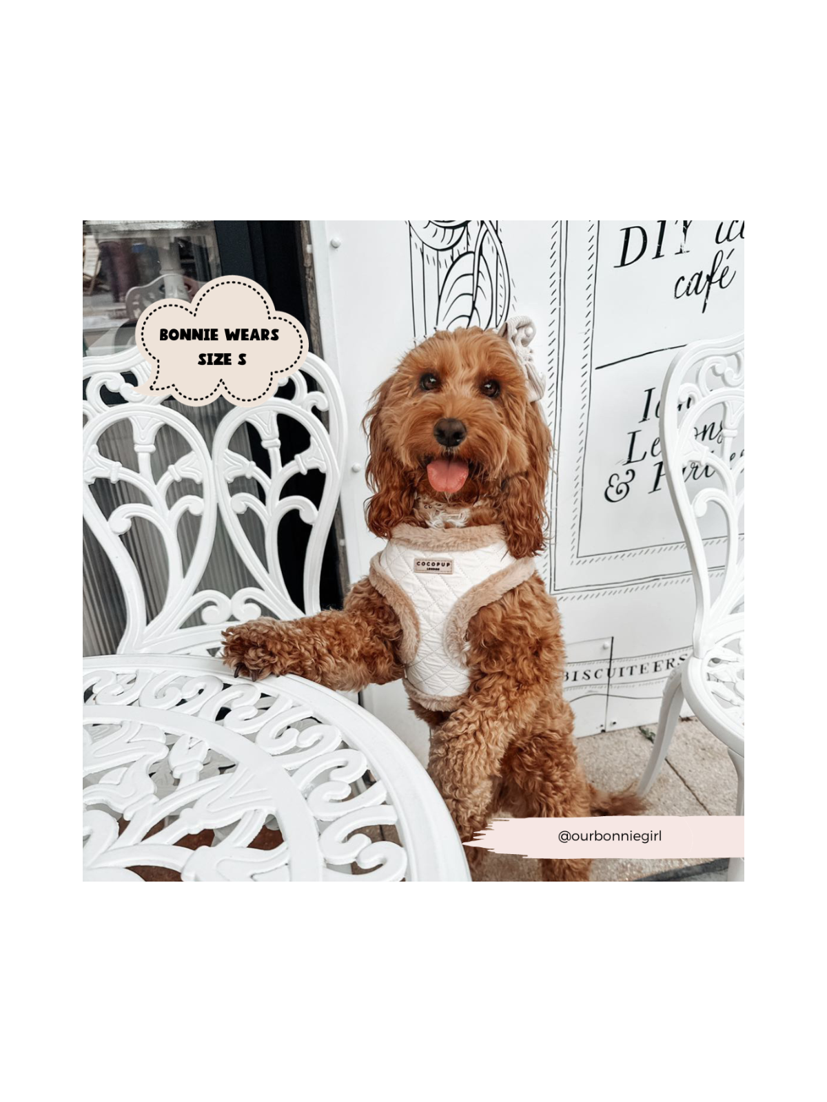 Quilted Adjustable Neck Harness - Cream
