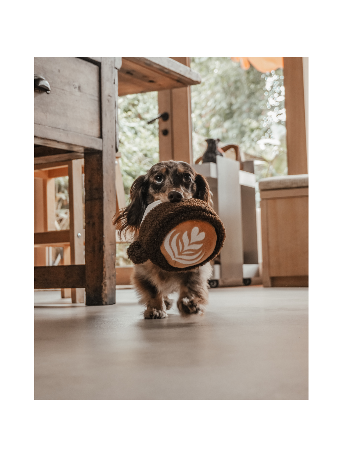 Flat White Cup Interactive Dog Toy
