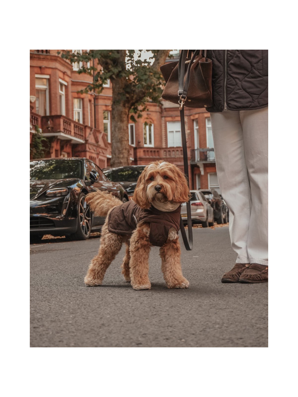 The Capsule Quilted Dog Coat – Chocolate