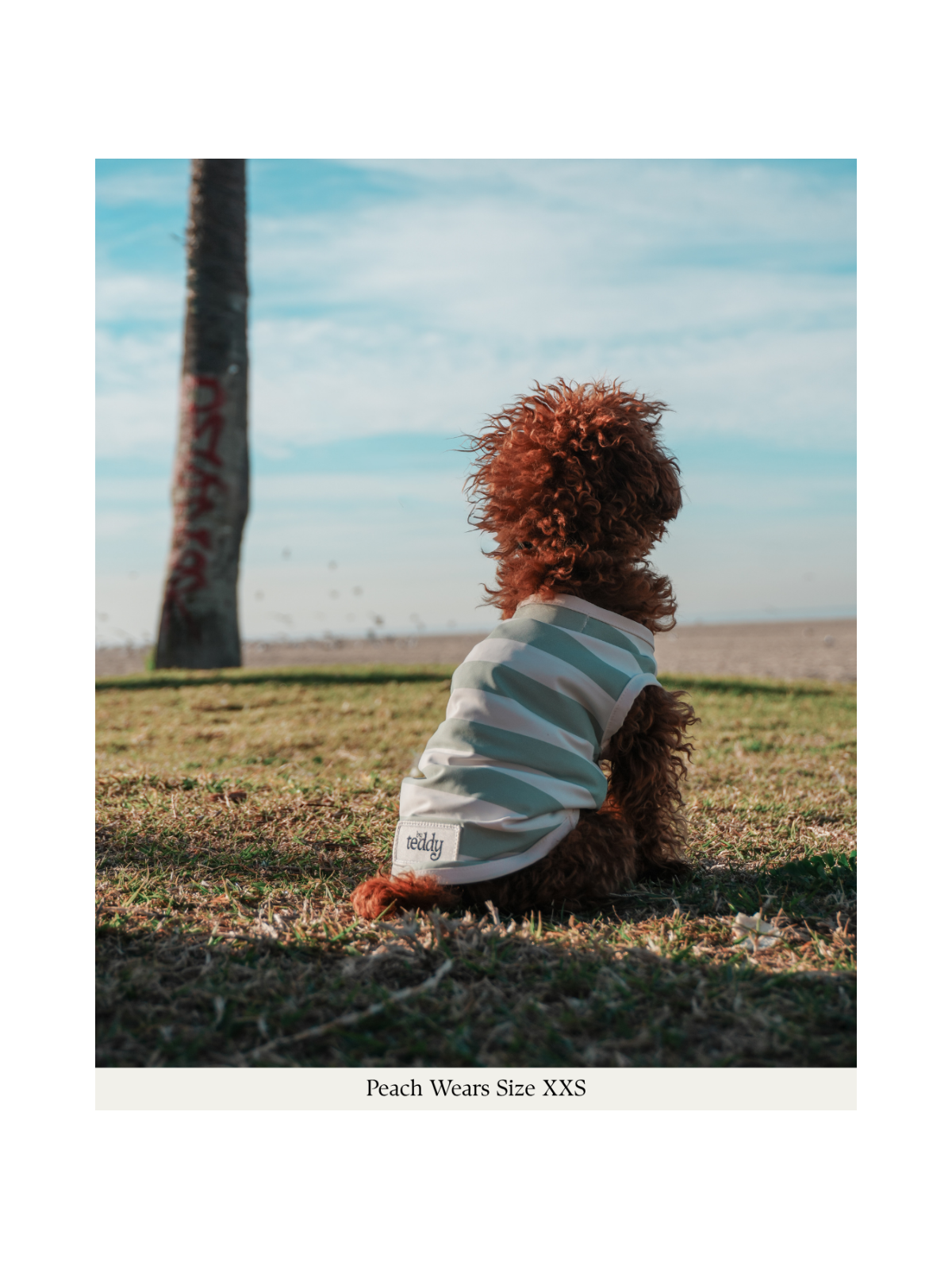 Summer Breeze Cooling Vest – Matcha